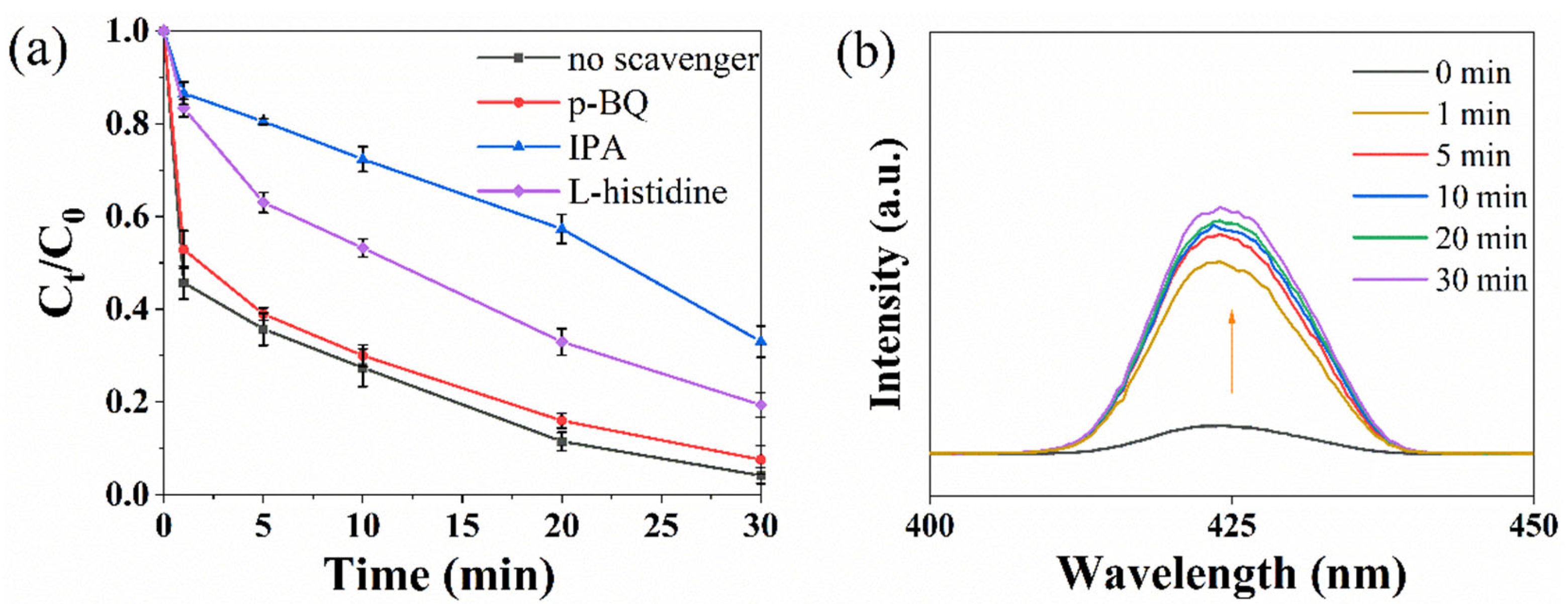 Catalysts 15 00076 g006