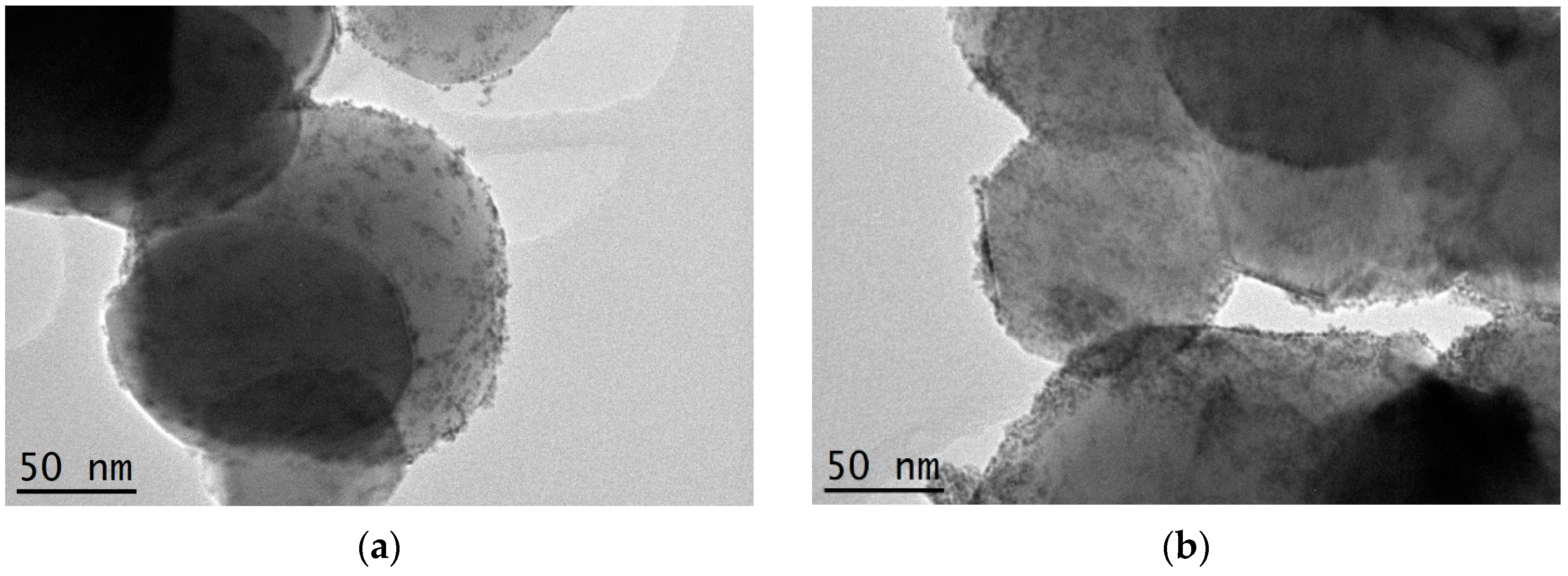 Catalysts 15 00079 g002a