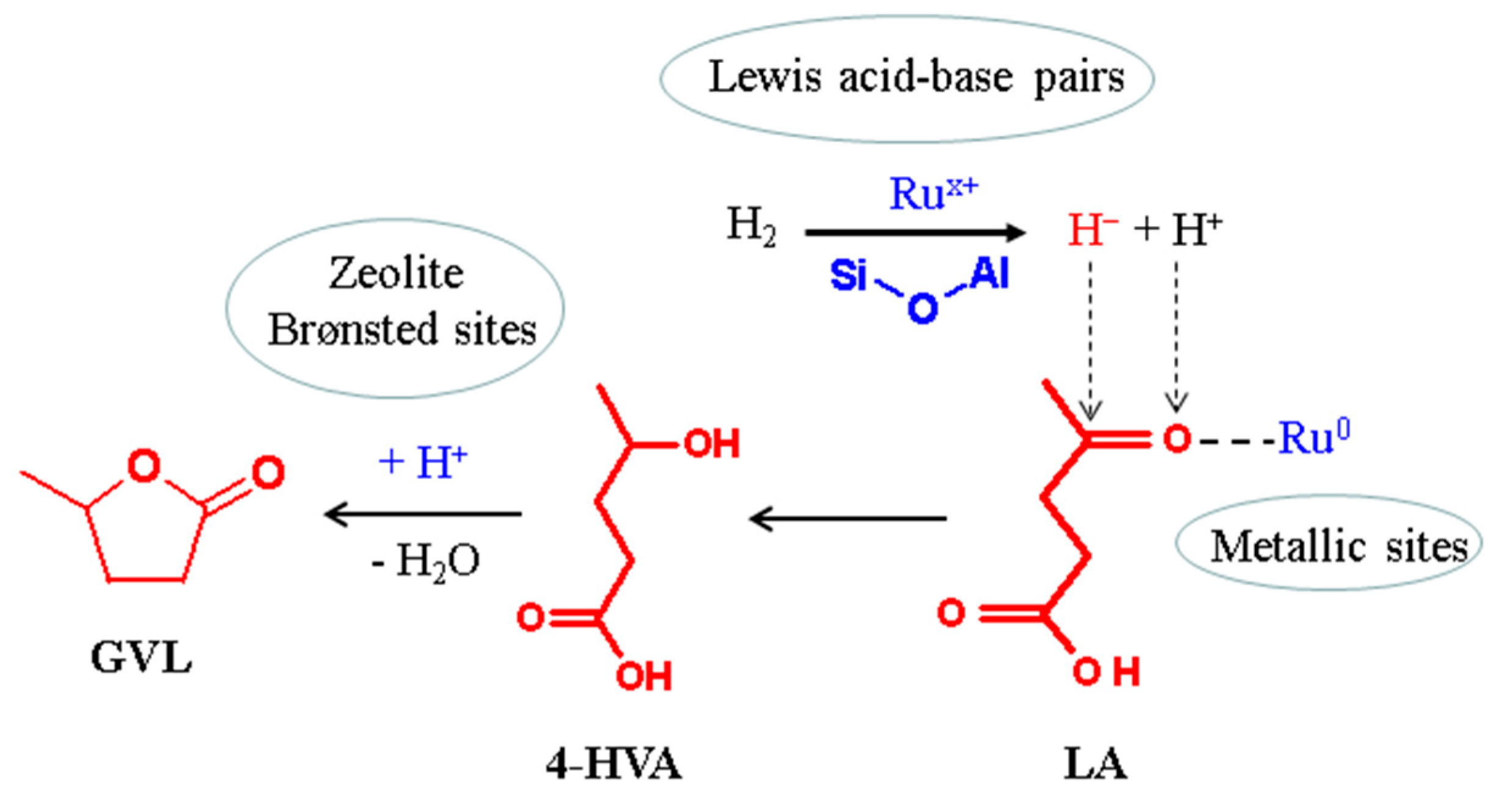Catalysts 15 00080 g007