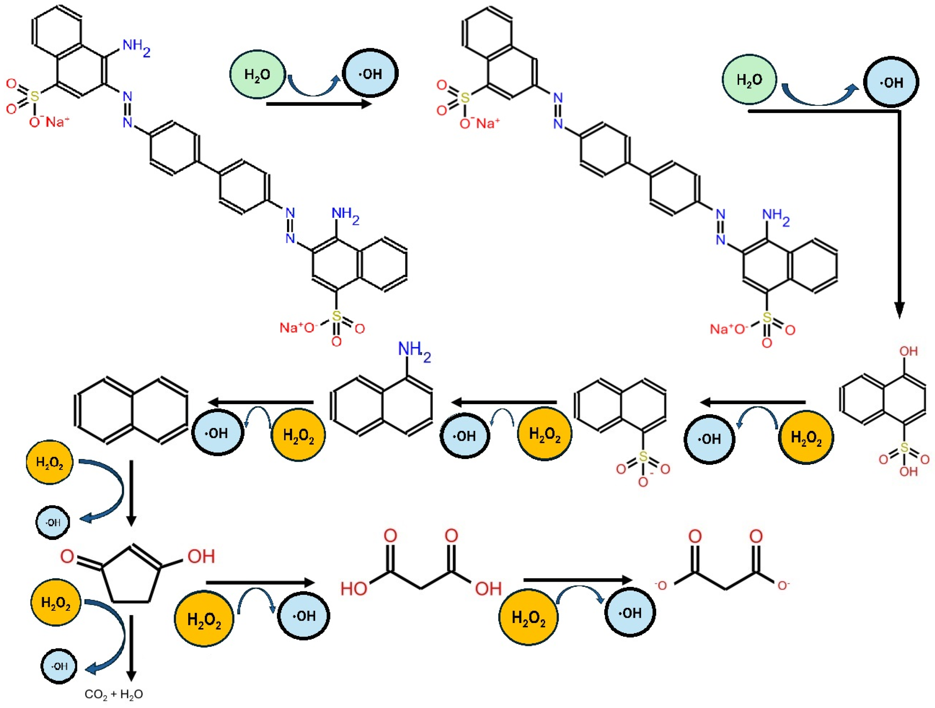 Catalysts 15 00084 g002