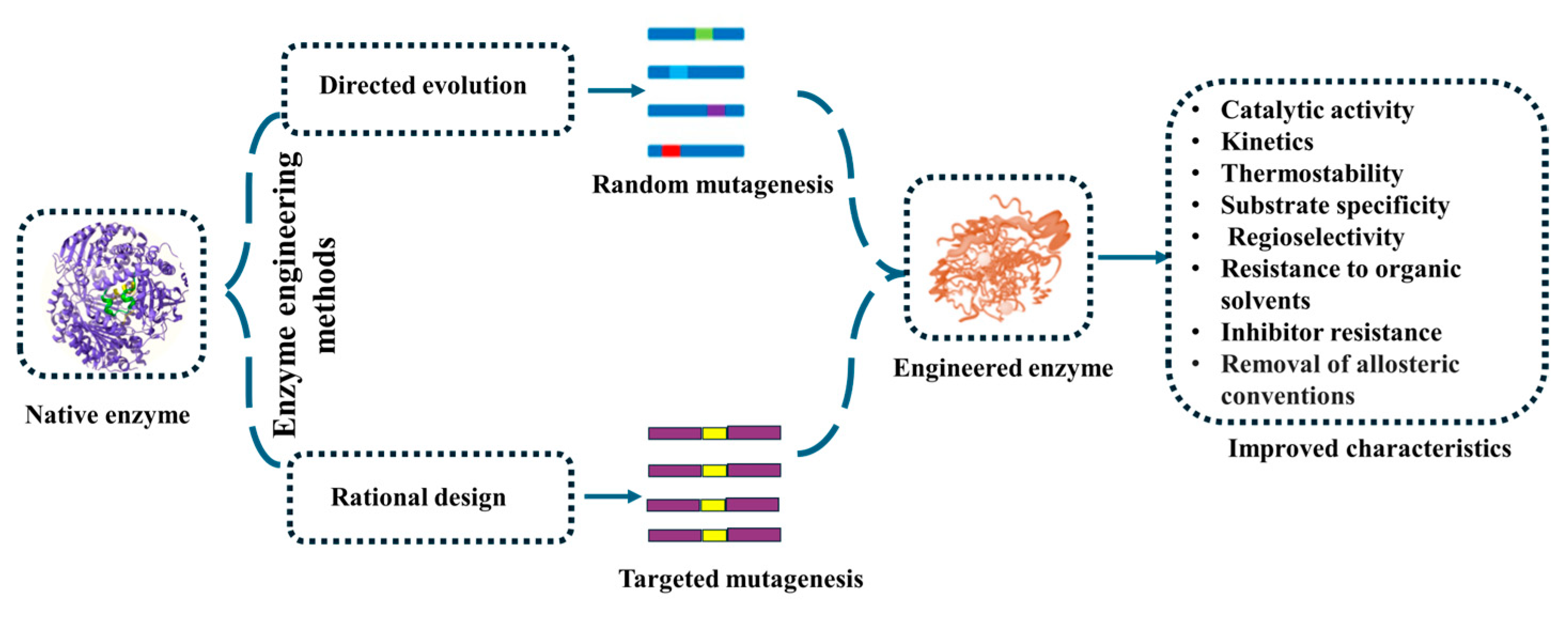 Catalysts 15 00091 g003 Catalysts 15 00091 g003
