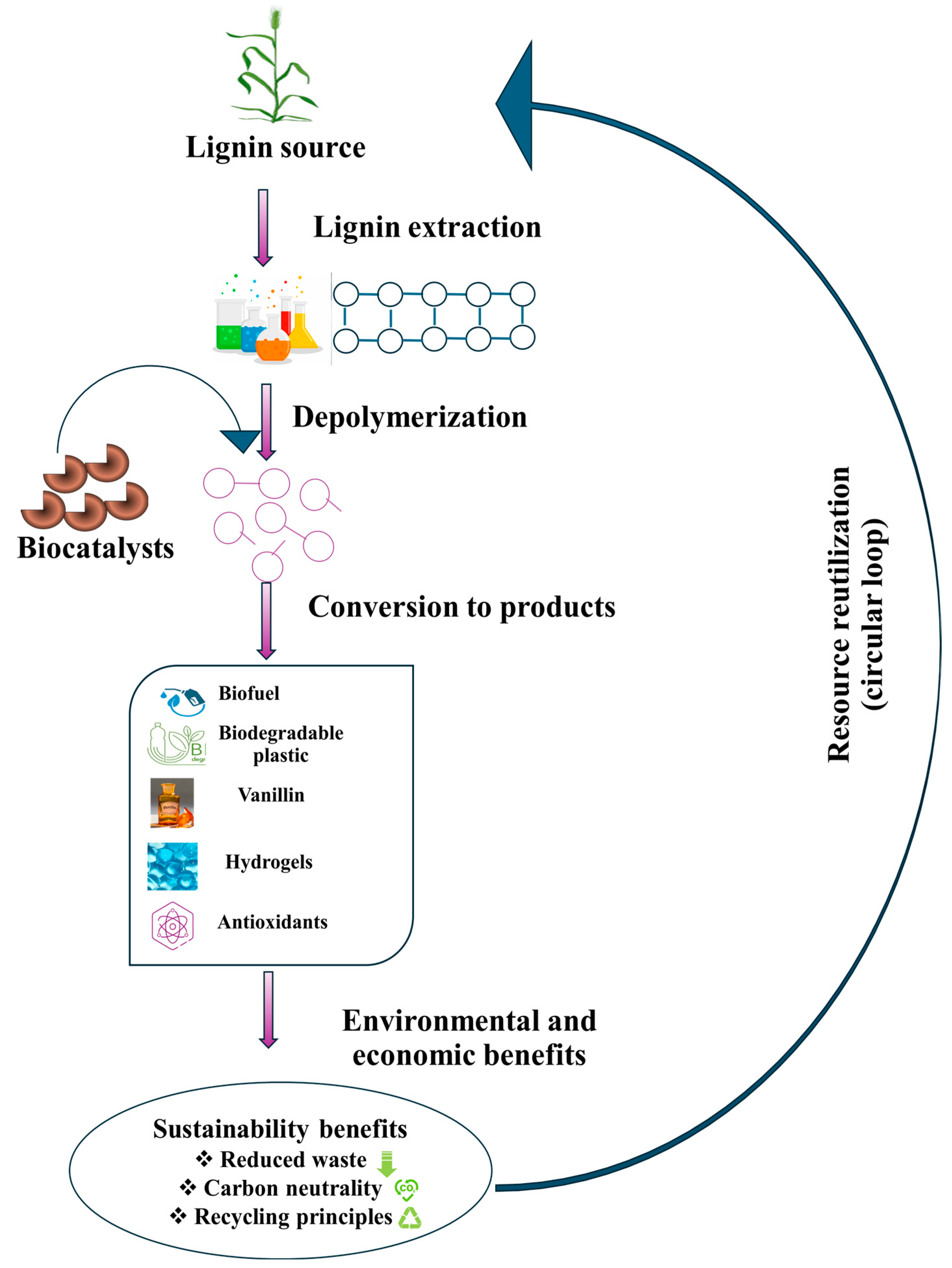 Catalysts 15 00091 g004 Catalysts 15 00091 g004