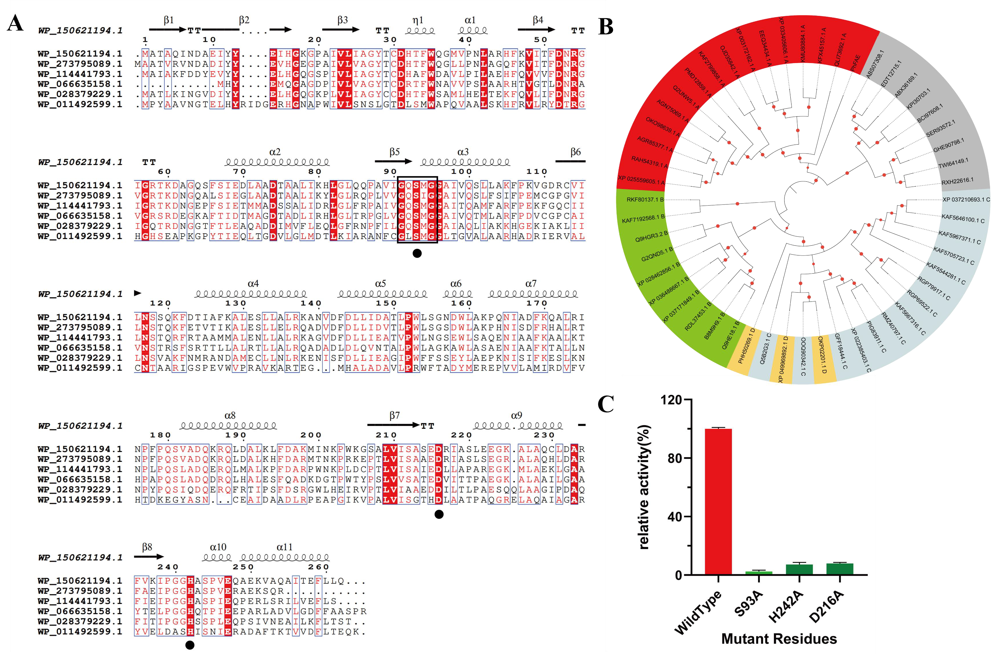 Catalysts 15 00092 g001
