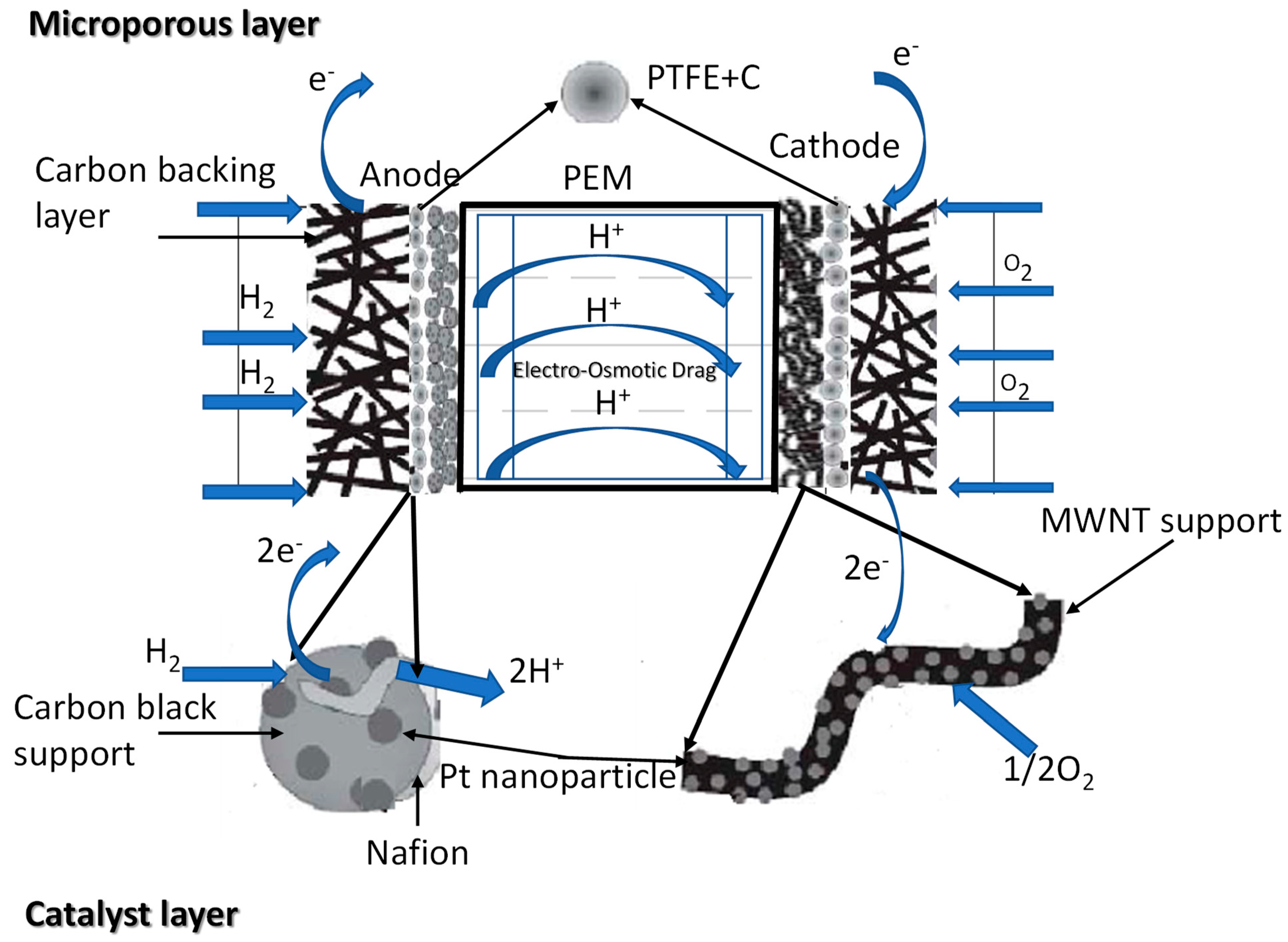 Catalysts 15 00097 g003