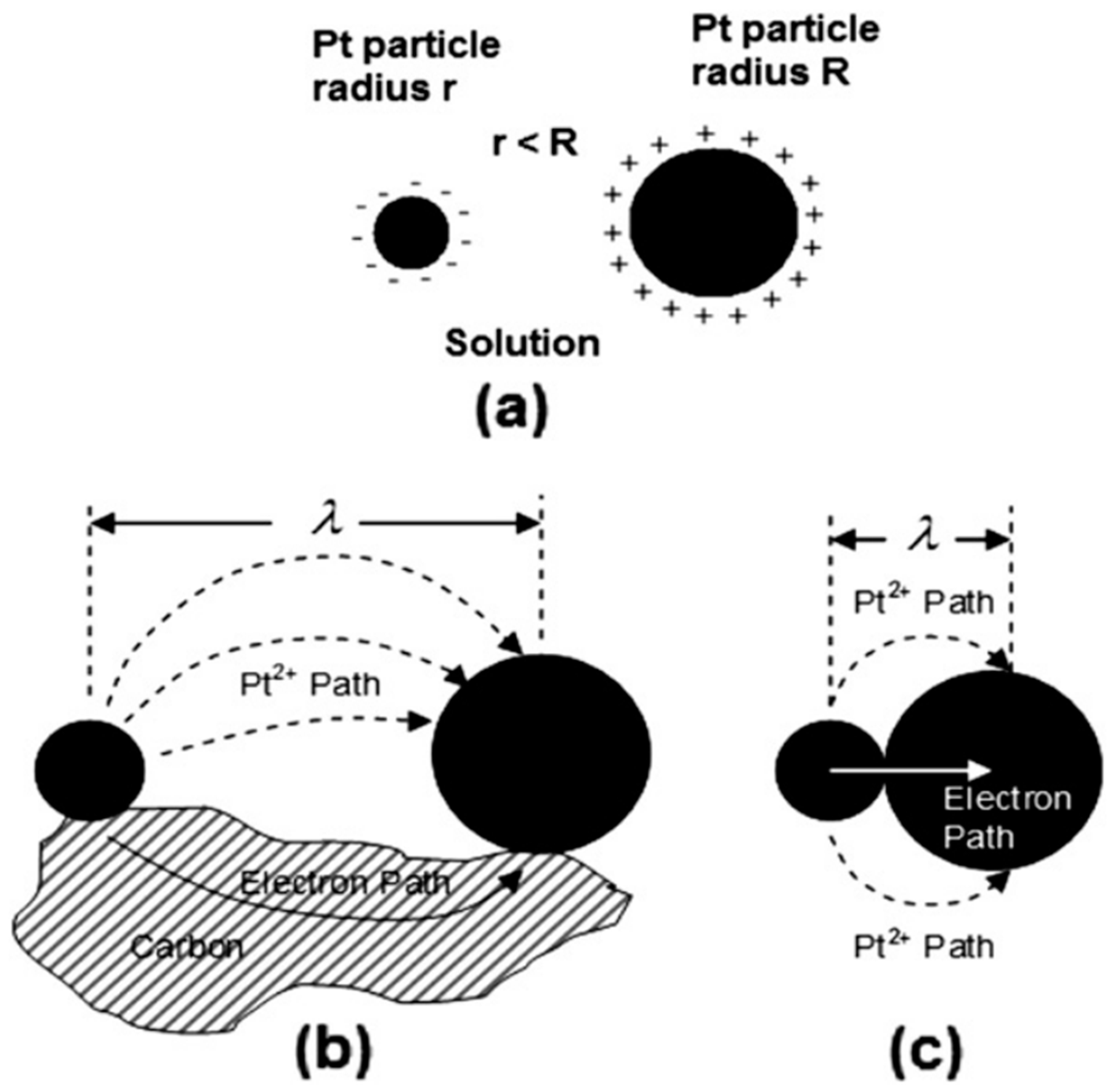 Catalysts 15 00097 g004