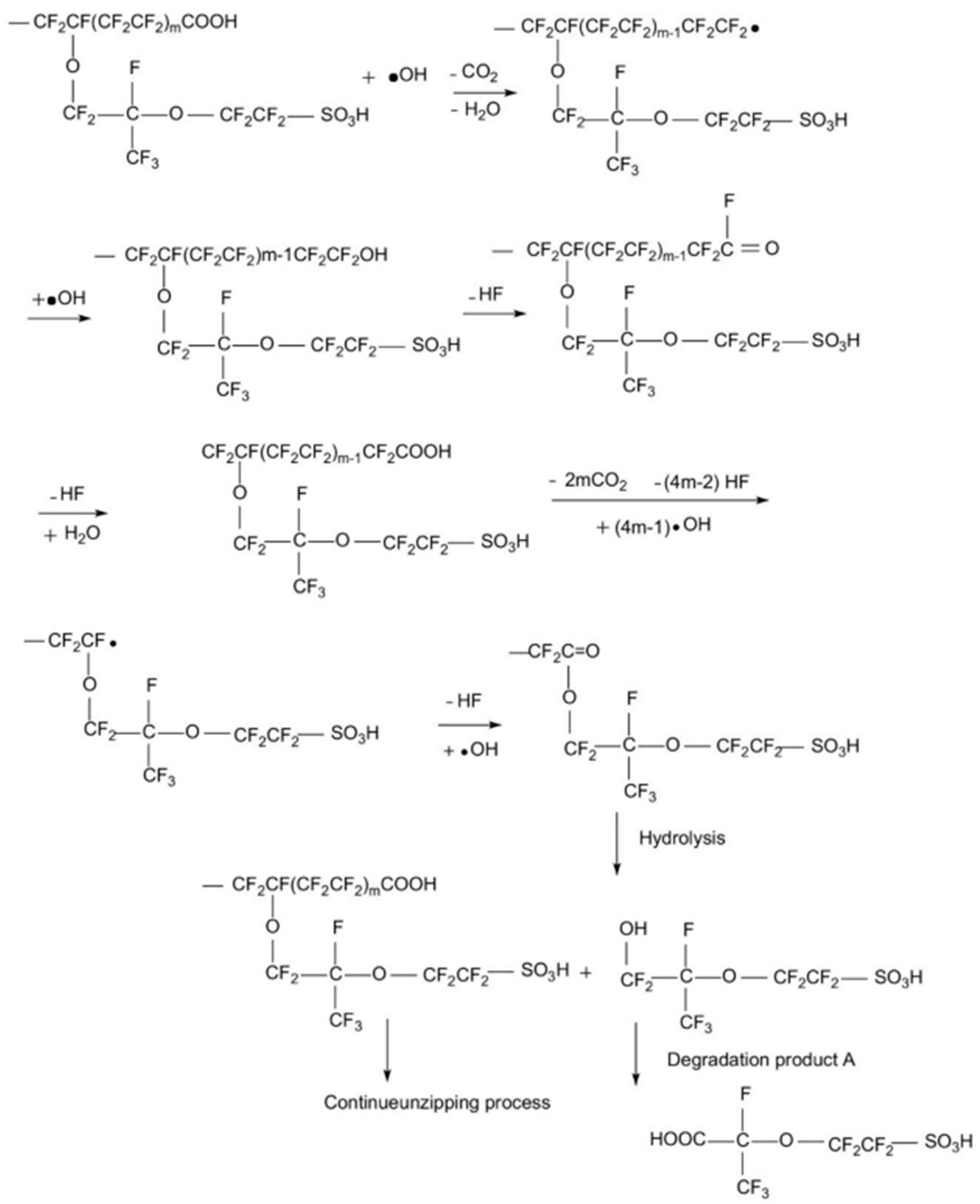 Catalysts 15 00097 g006