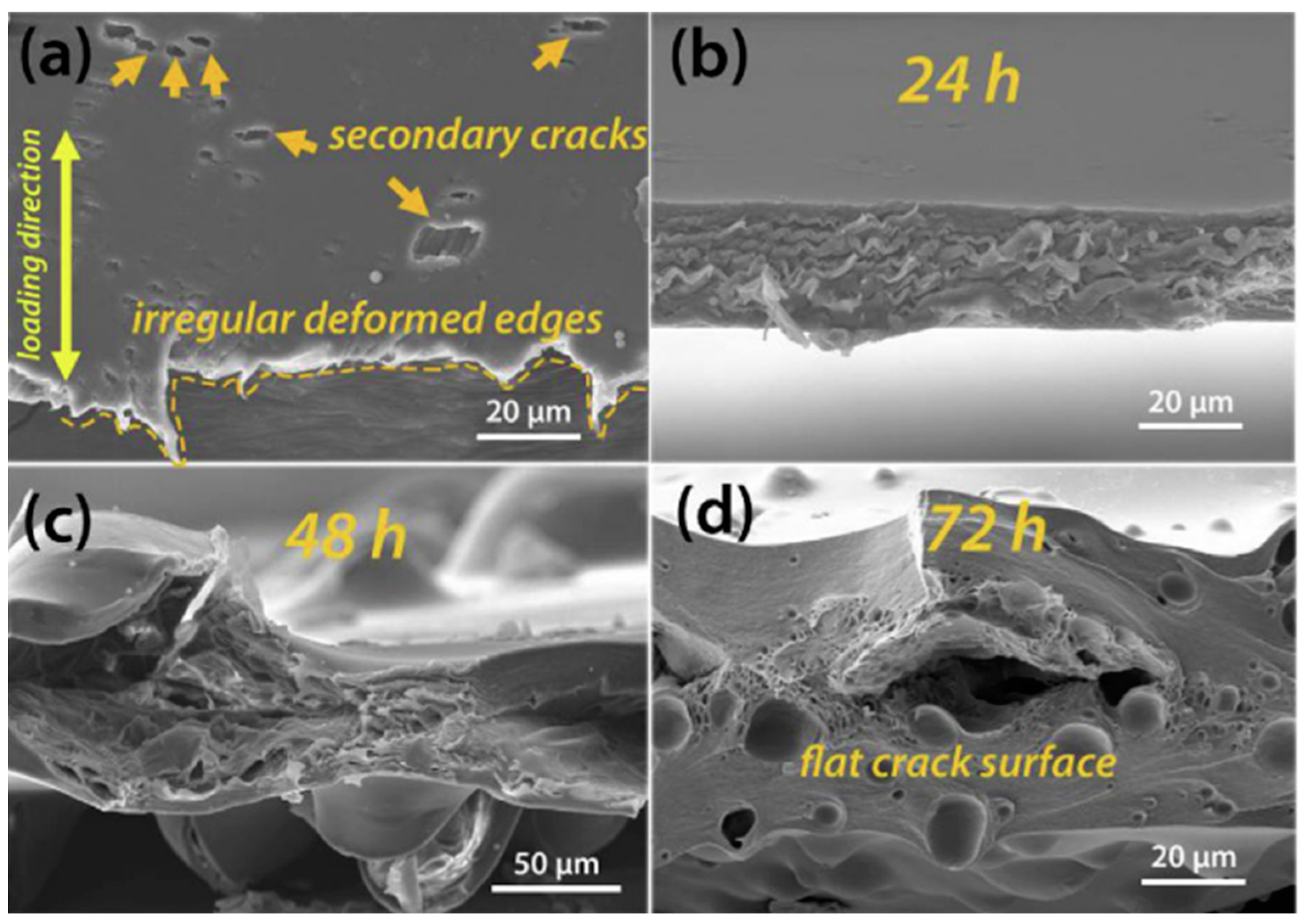 Catalysts 15 00097 g007