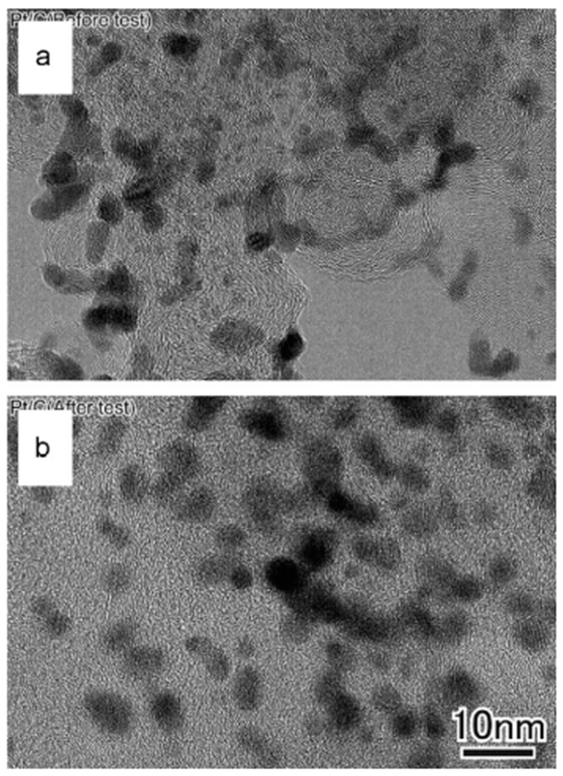 Catalysts 15 00097 g008