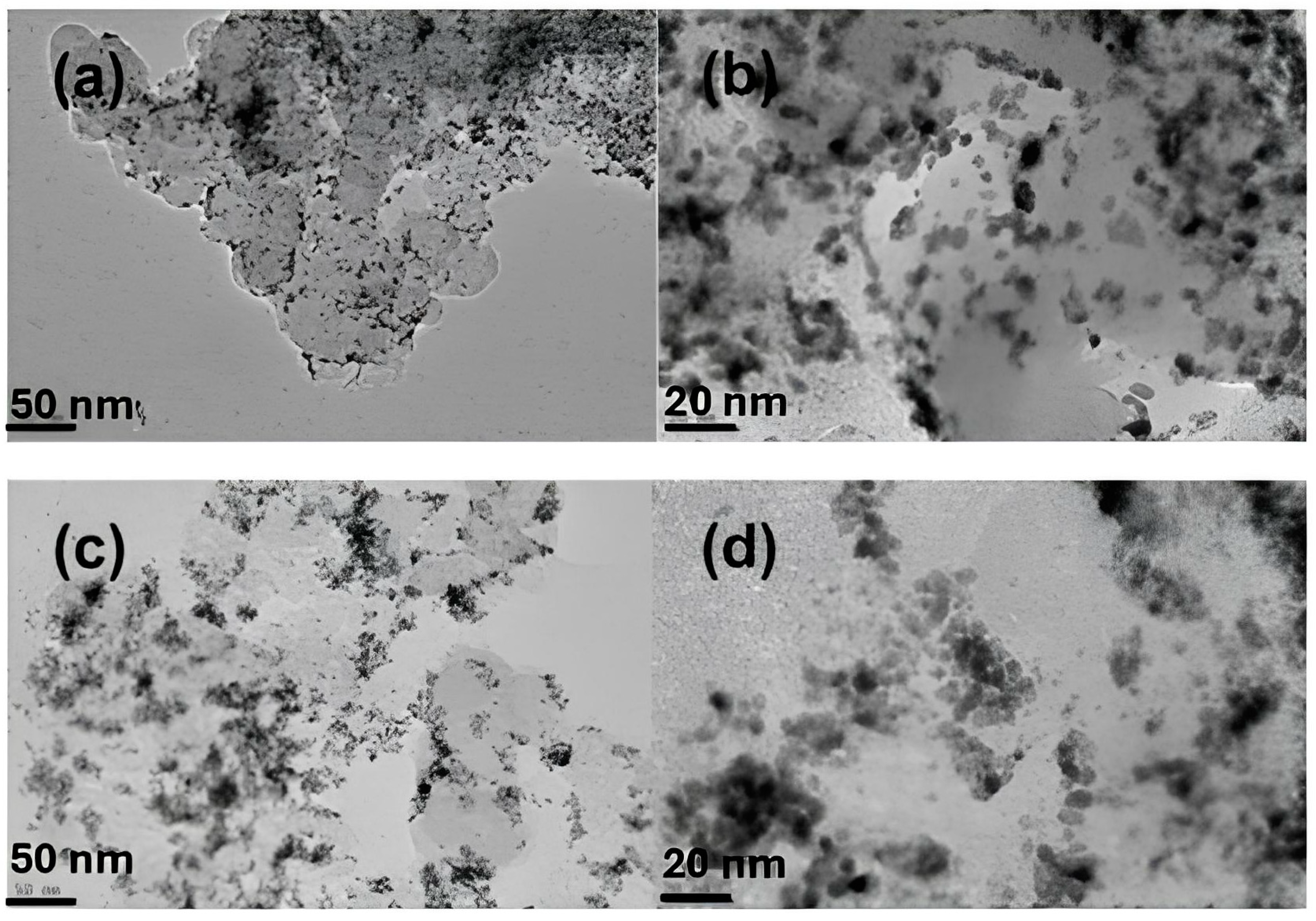 Catalysts 15 00097 g009