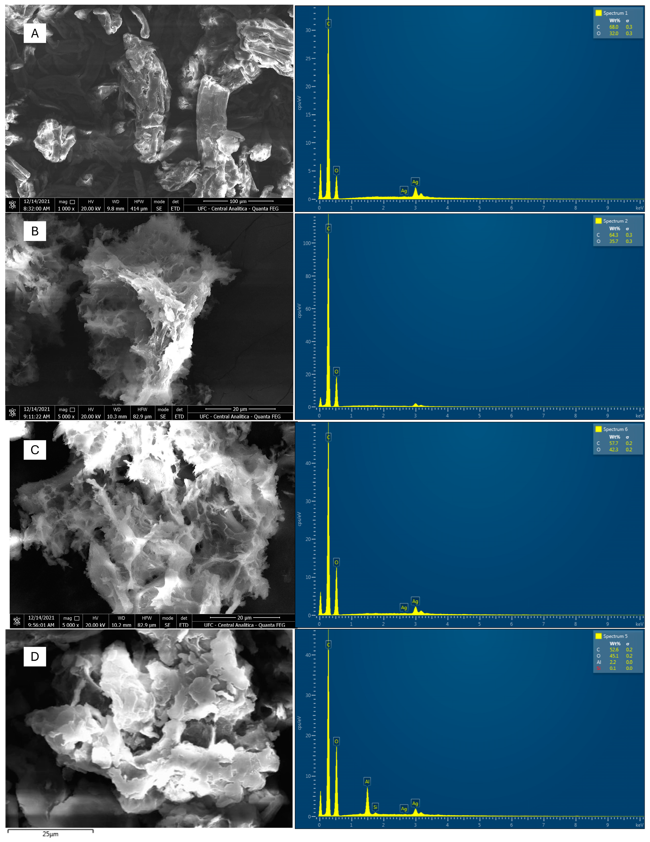 Catalysts 15 00099 g004