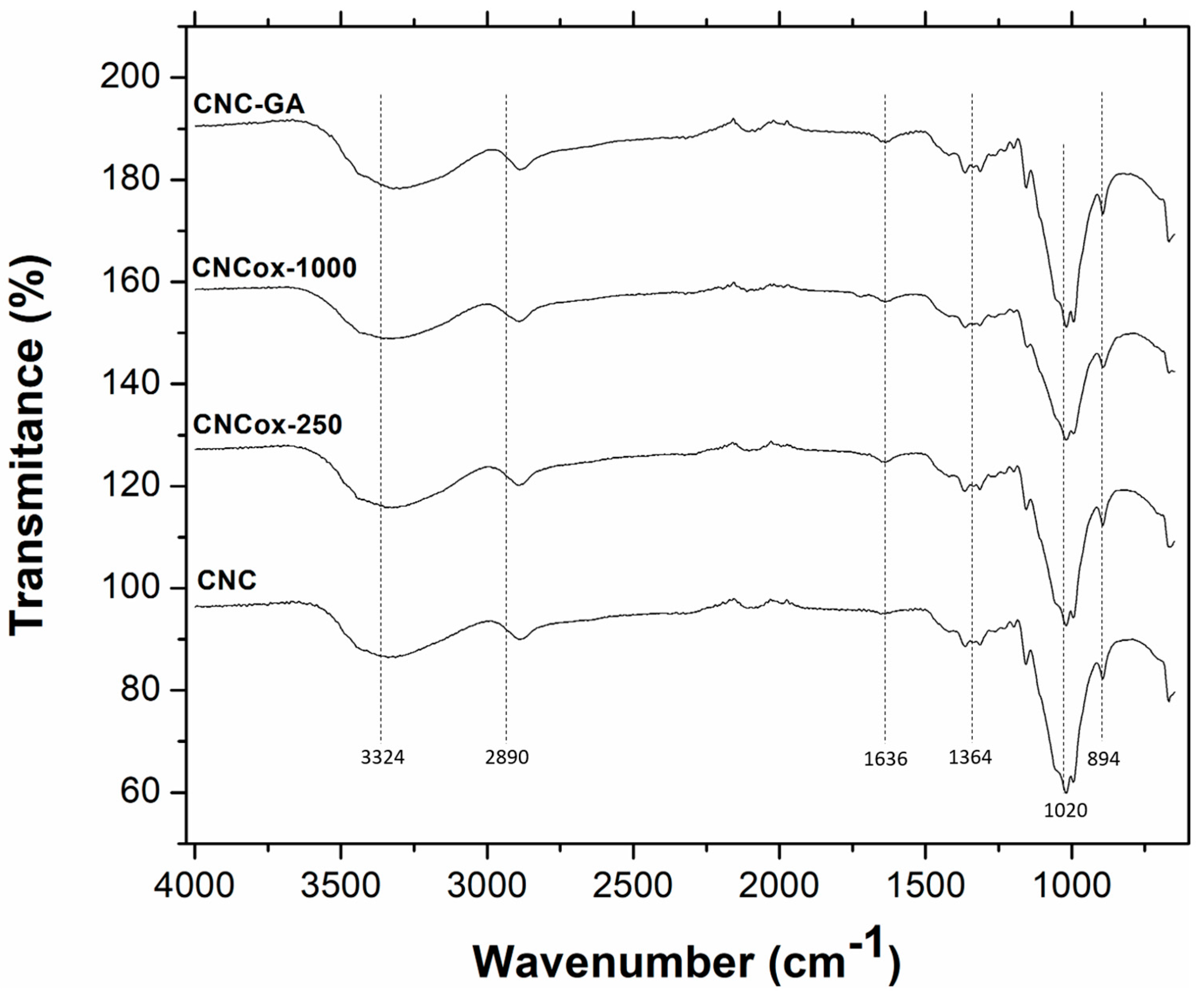 Catalysts 15 00099 g005