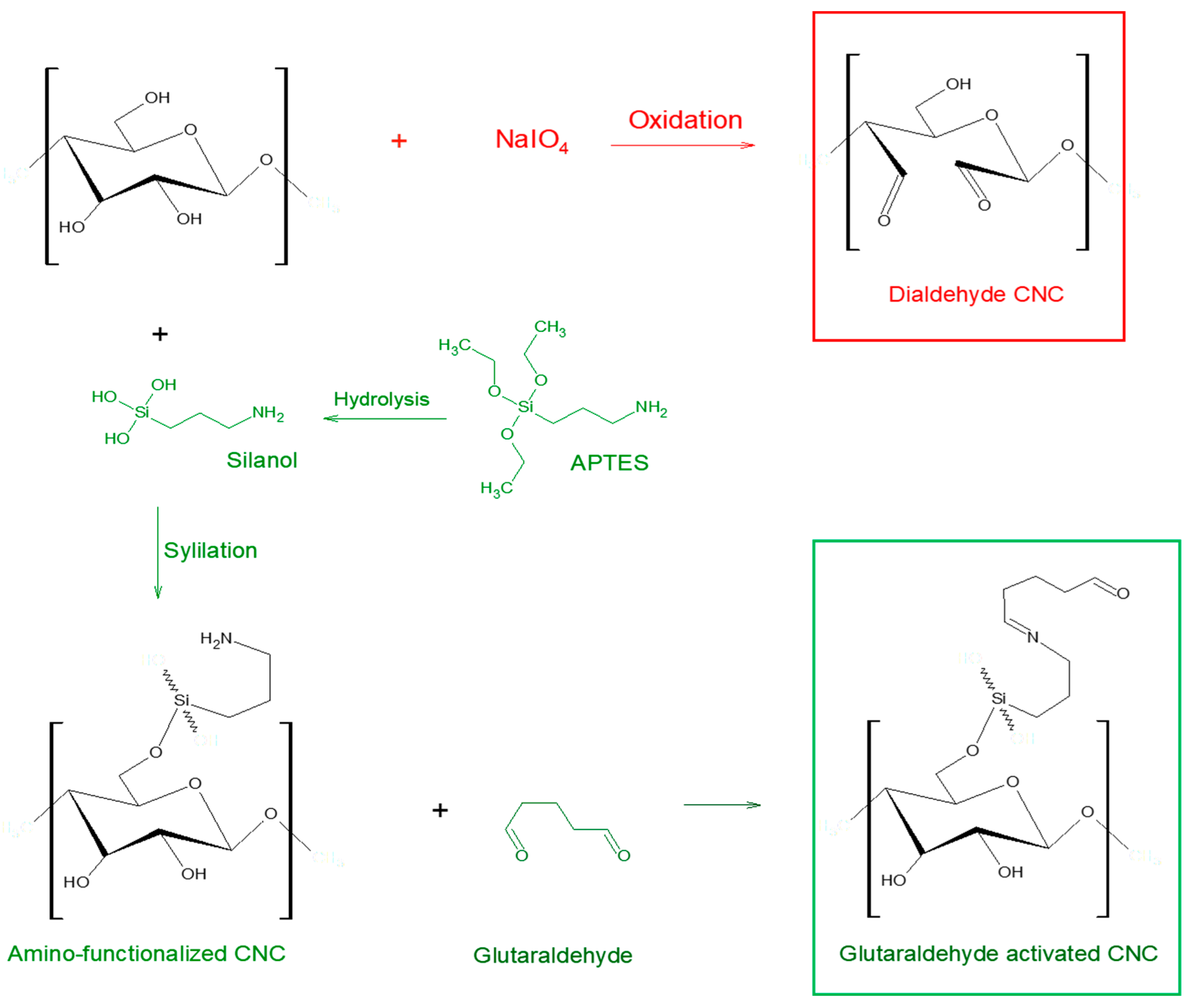 Catalysts 15 00099 g010