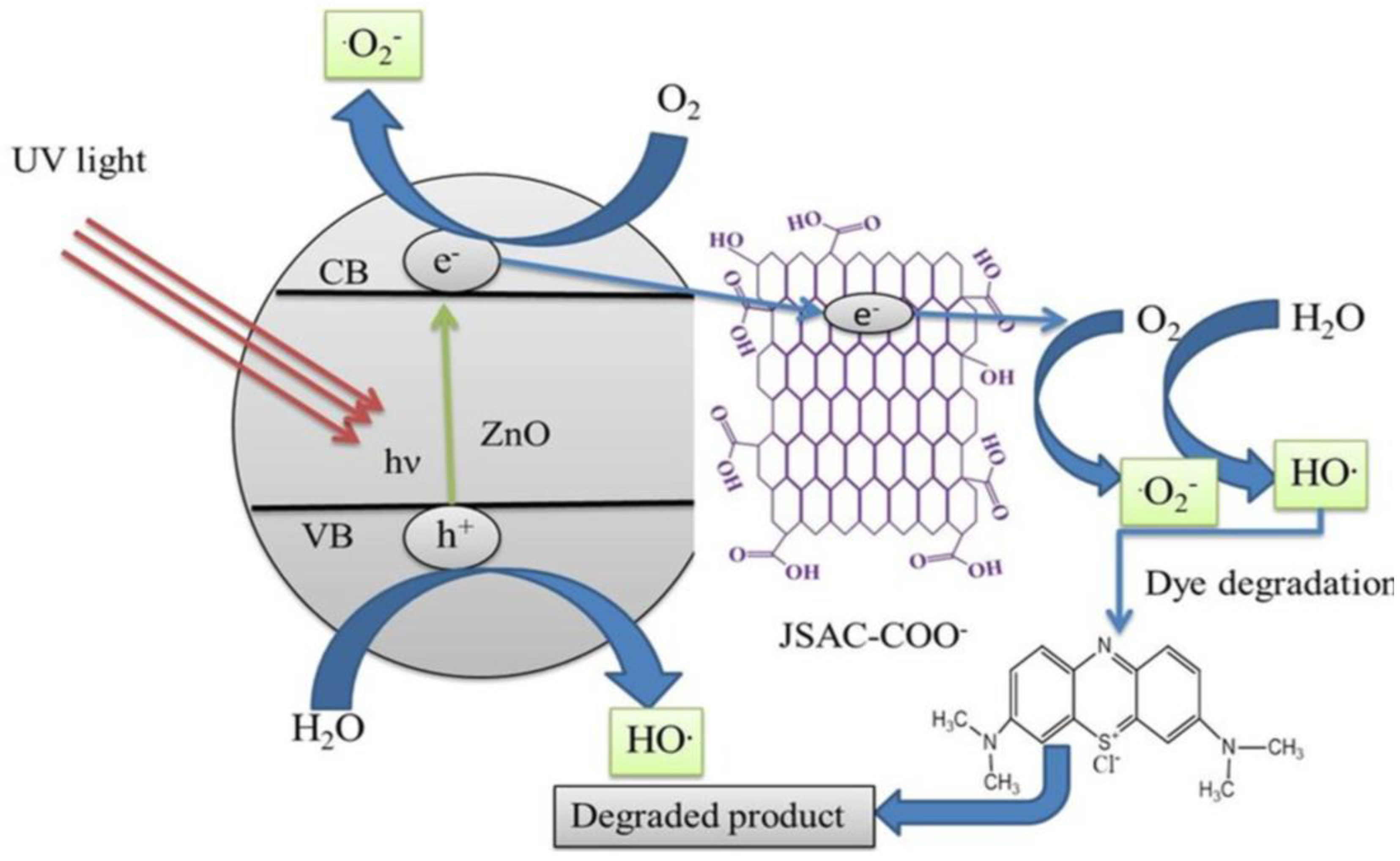 Catalysts 15 00100 g003