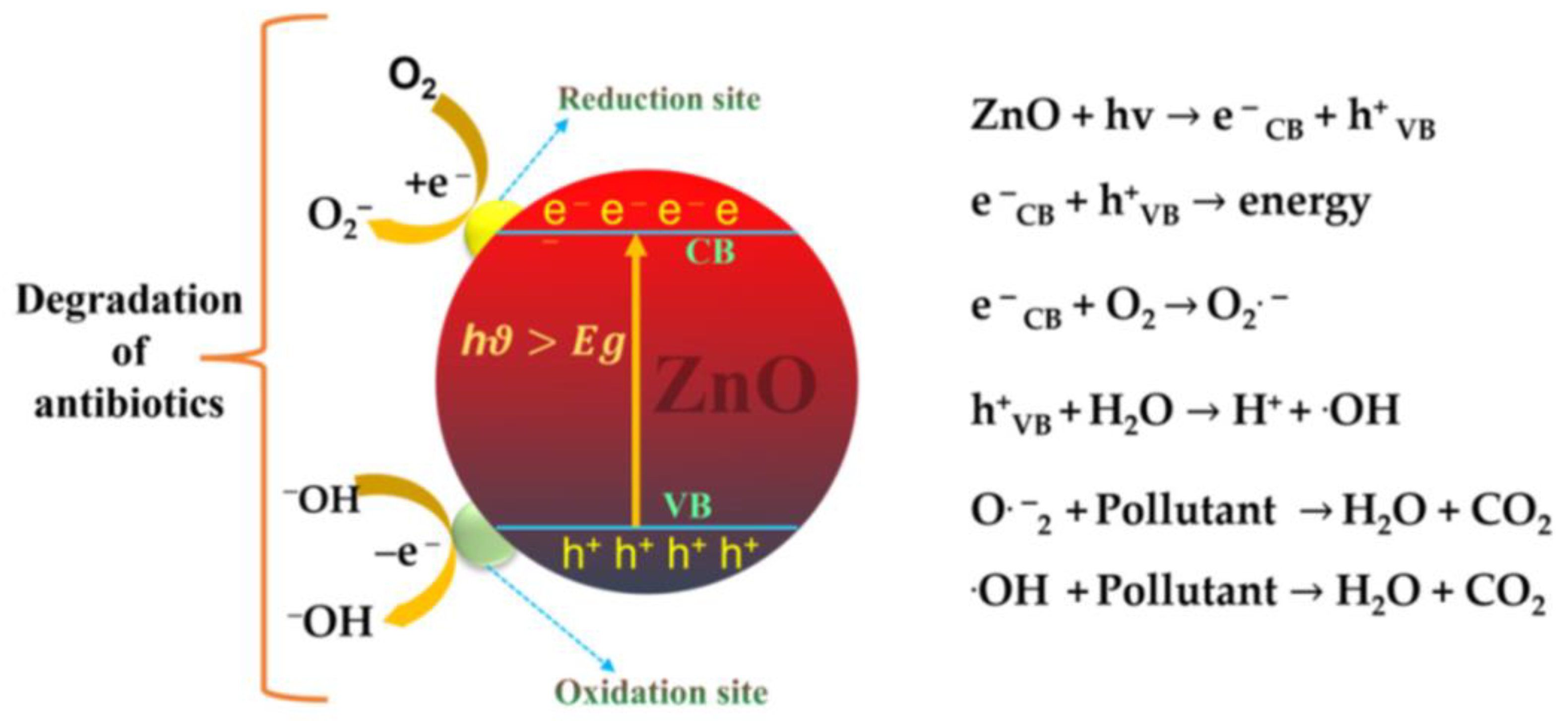 Catalysts 15 00100 g006