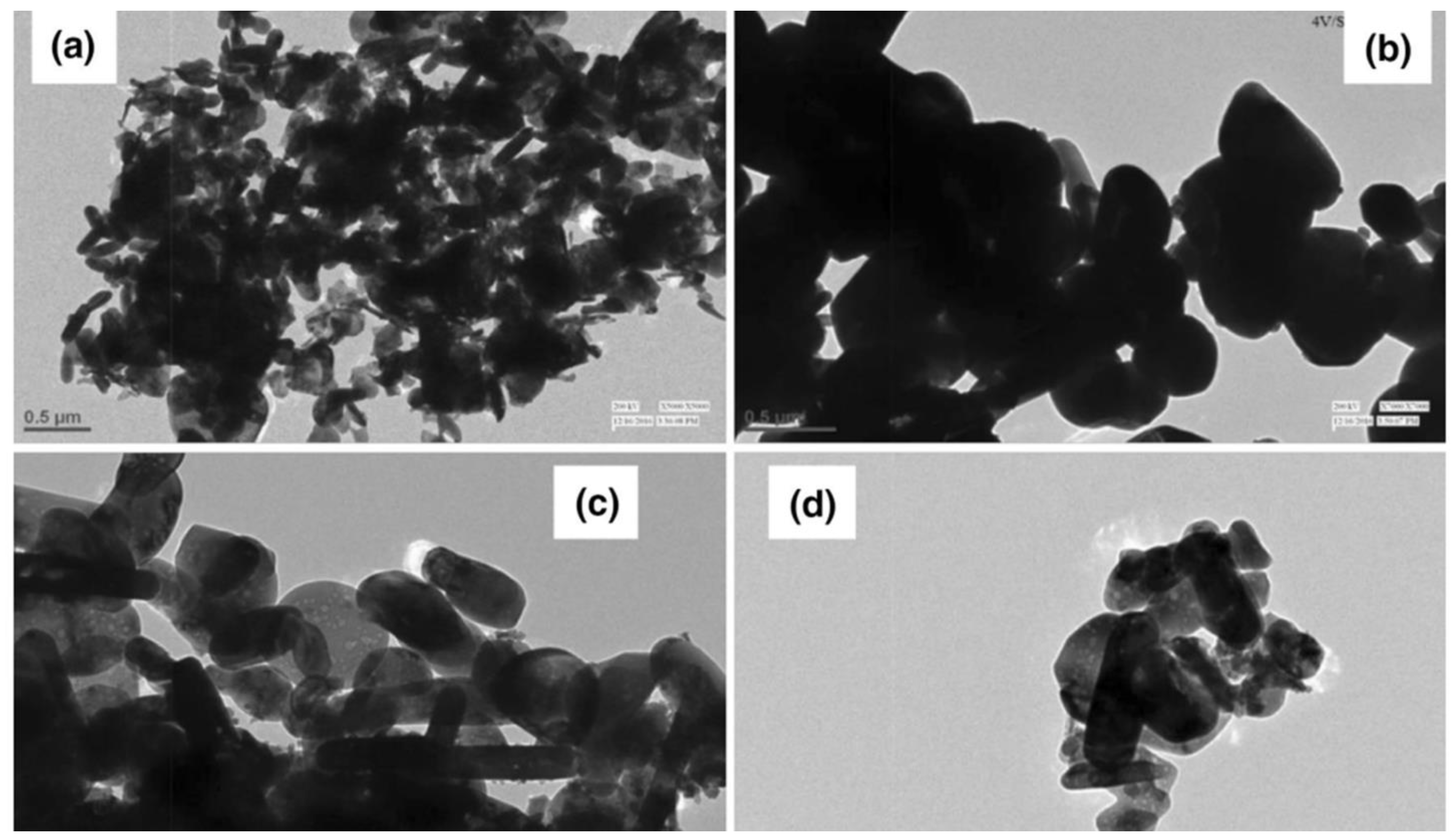 Catalysts 15 00100 g007