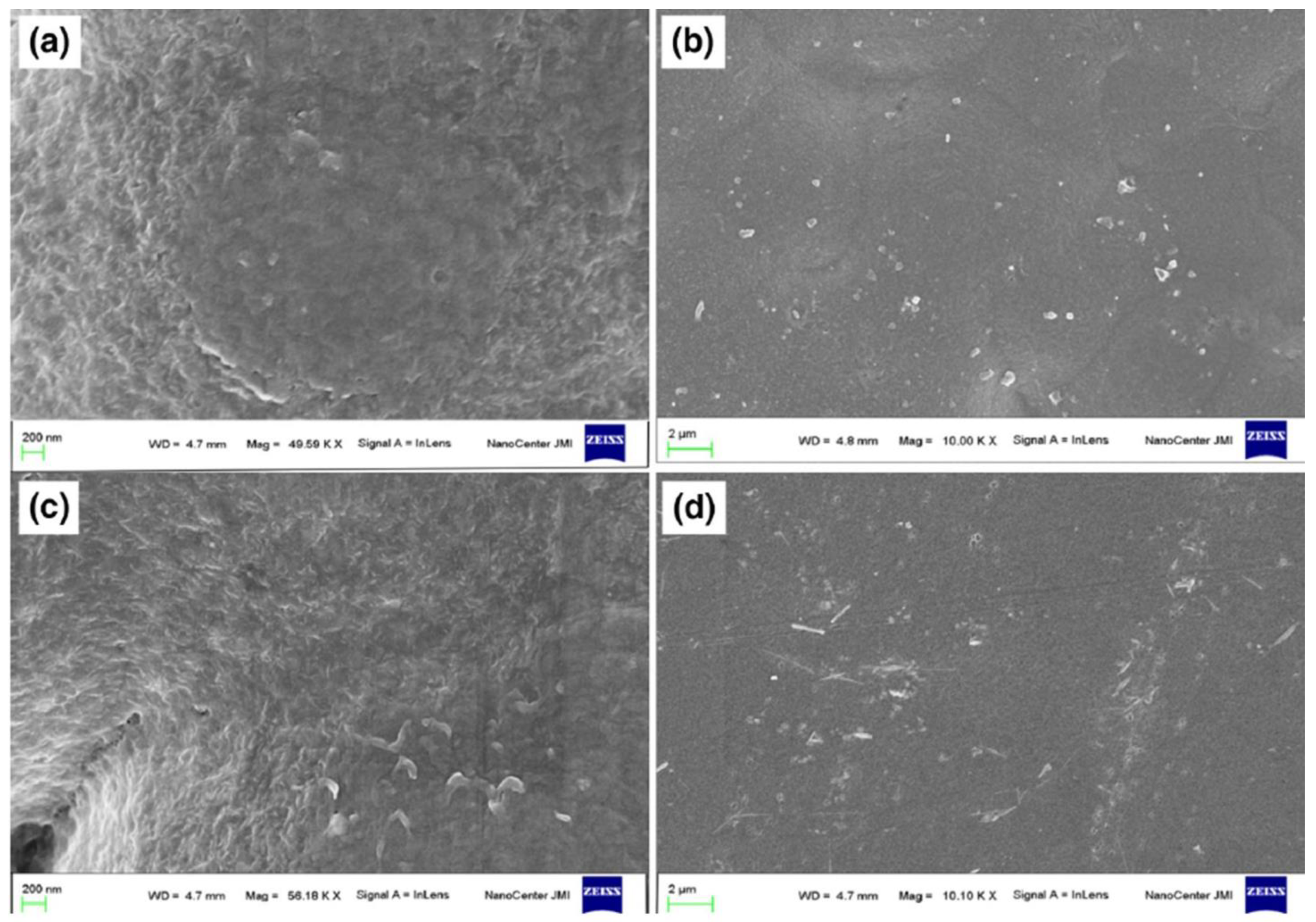 Catalysts 15 00100 g008