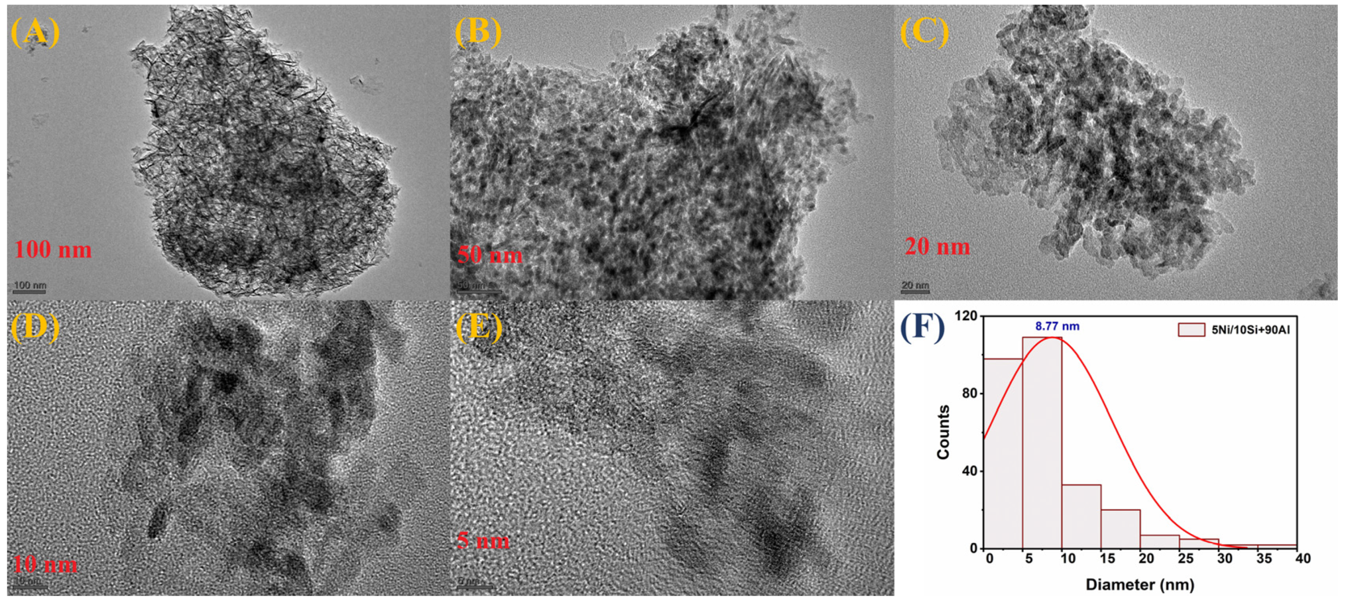 Catalysts 15 00102 g012