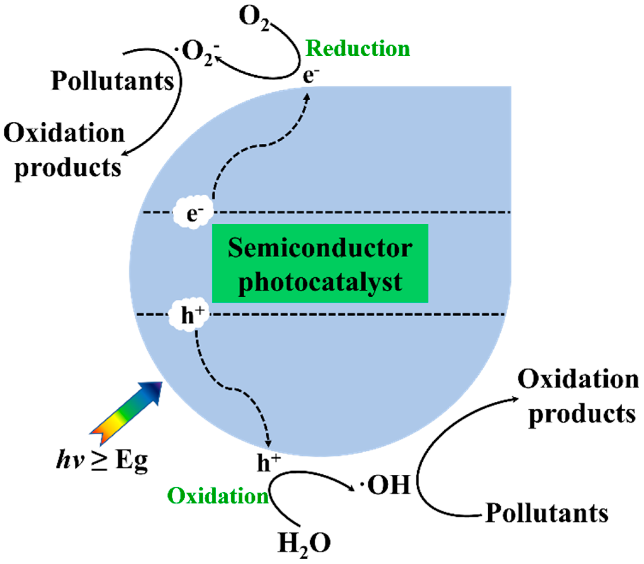 Catalysts 15 00103 g001