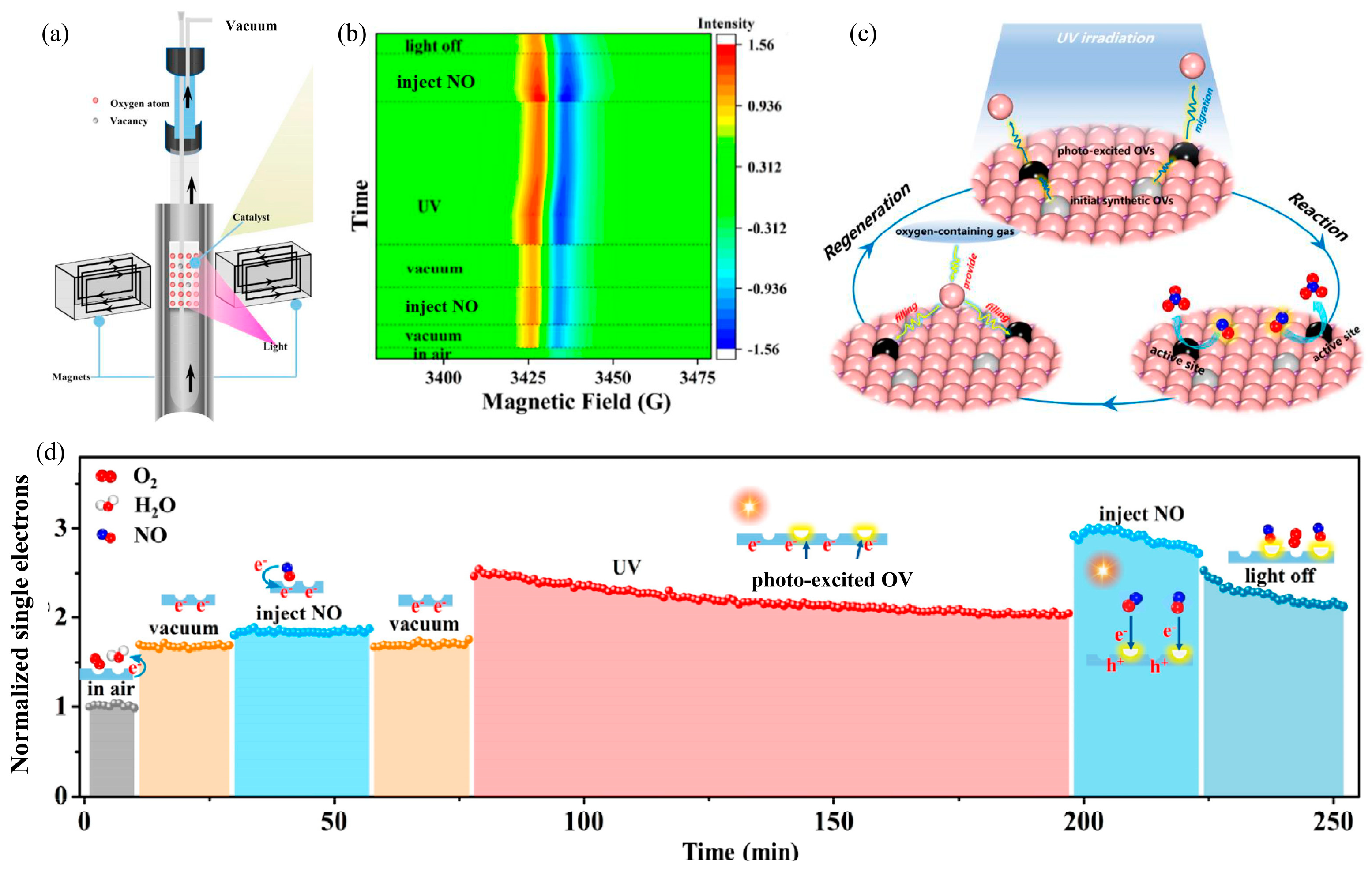 Catalysts 15 00103 g003