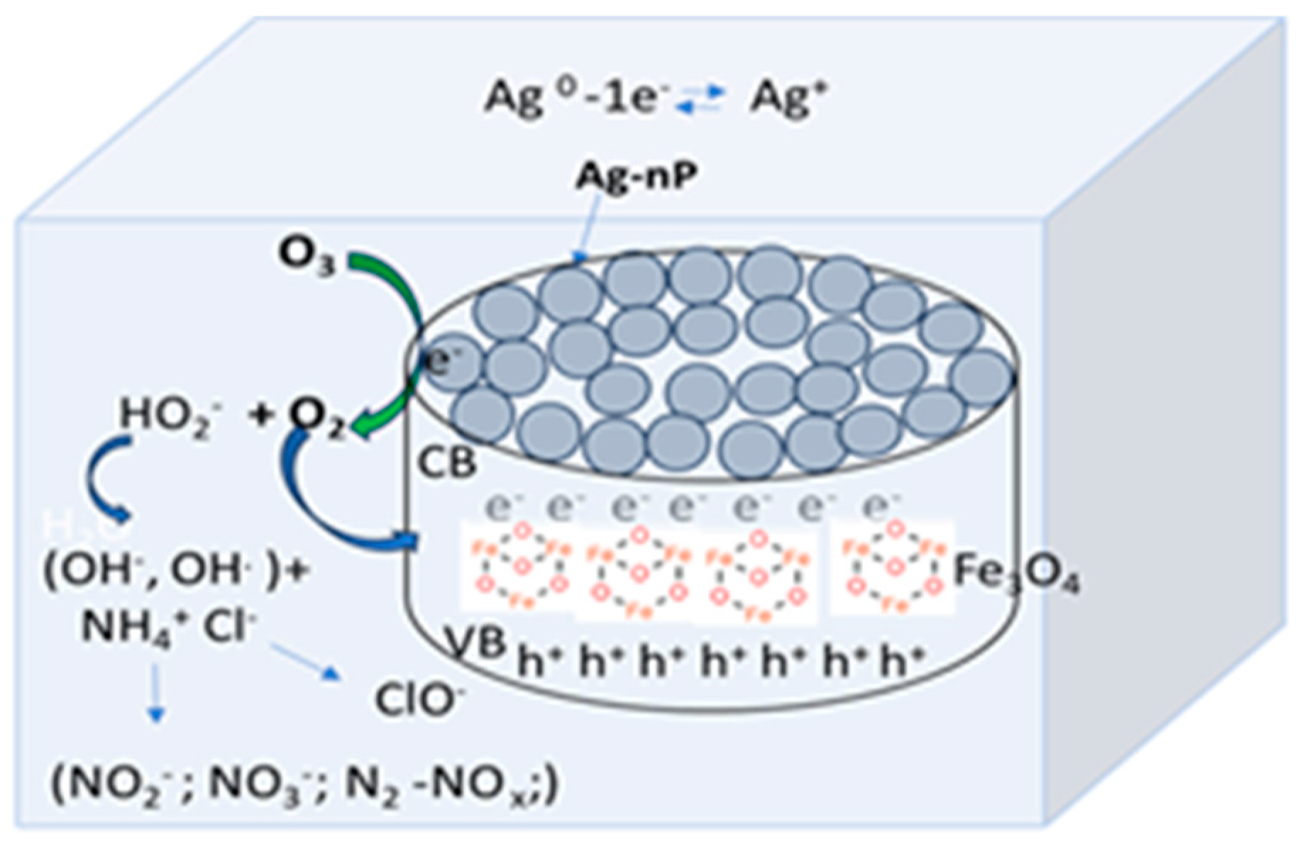 Catalysts 15 00104 g010