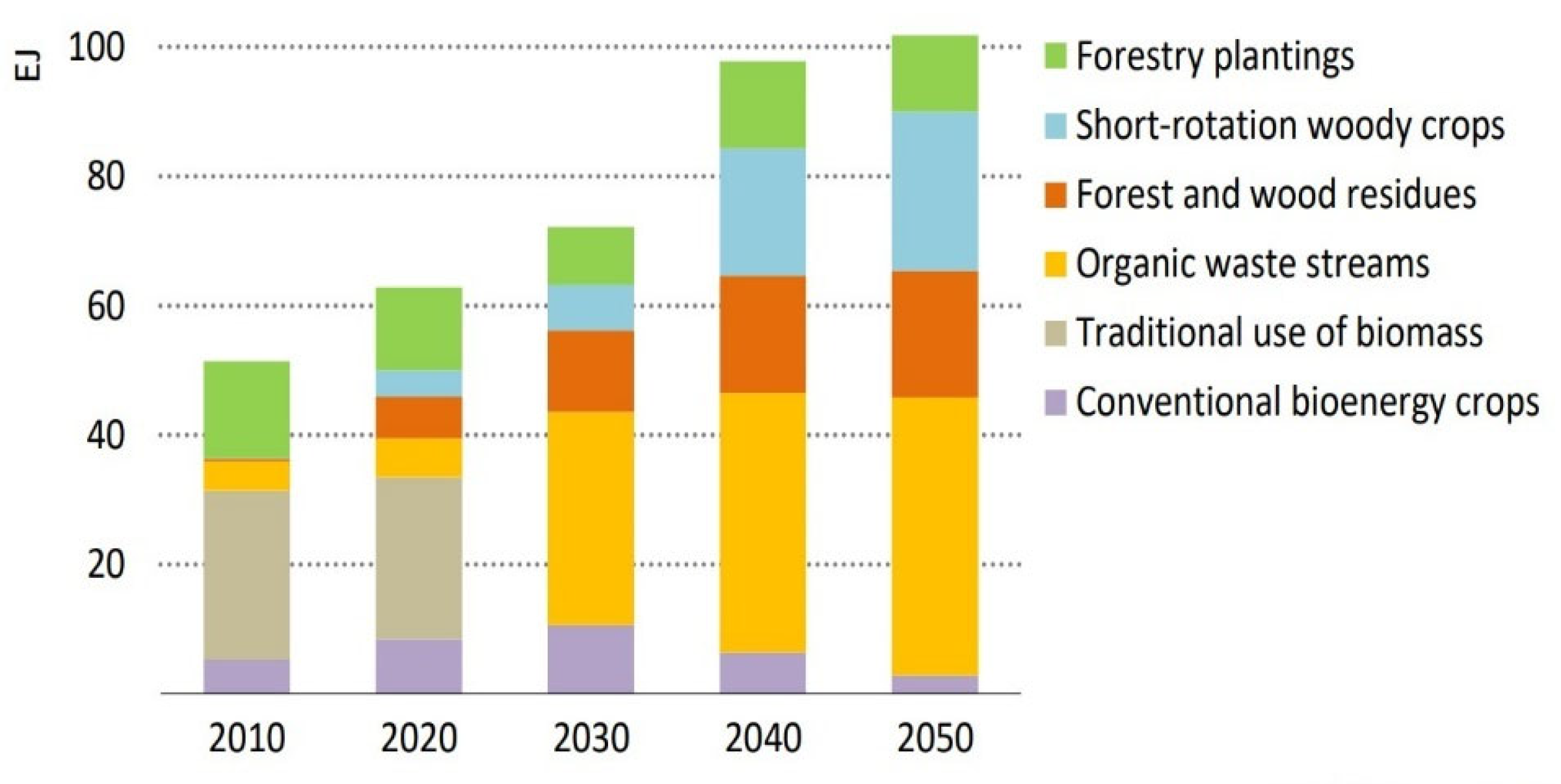 Catalysts 15 00105 g003