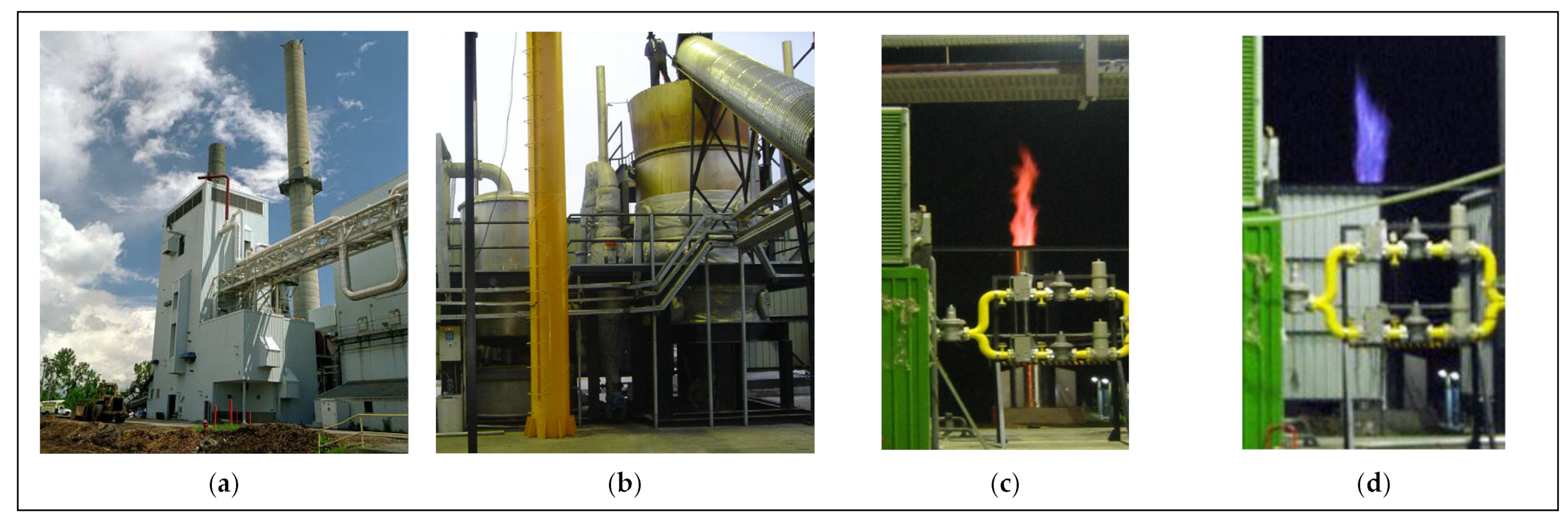Catalysts 15 00105 g006a