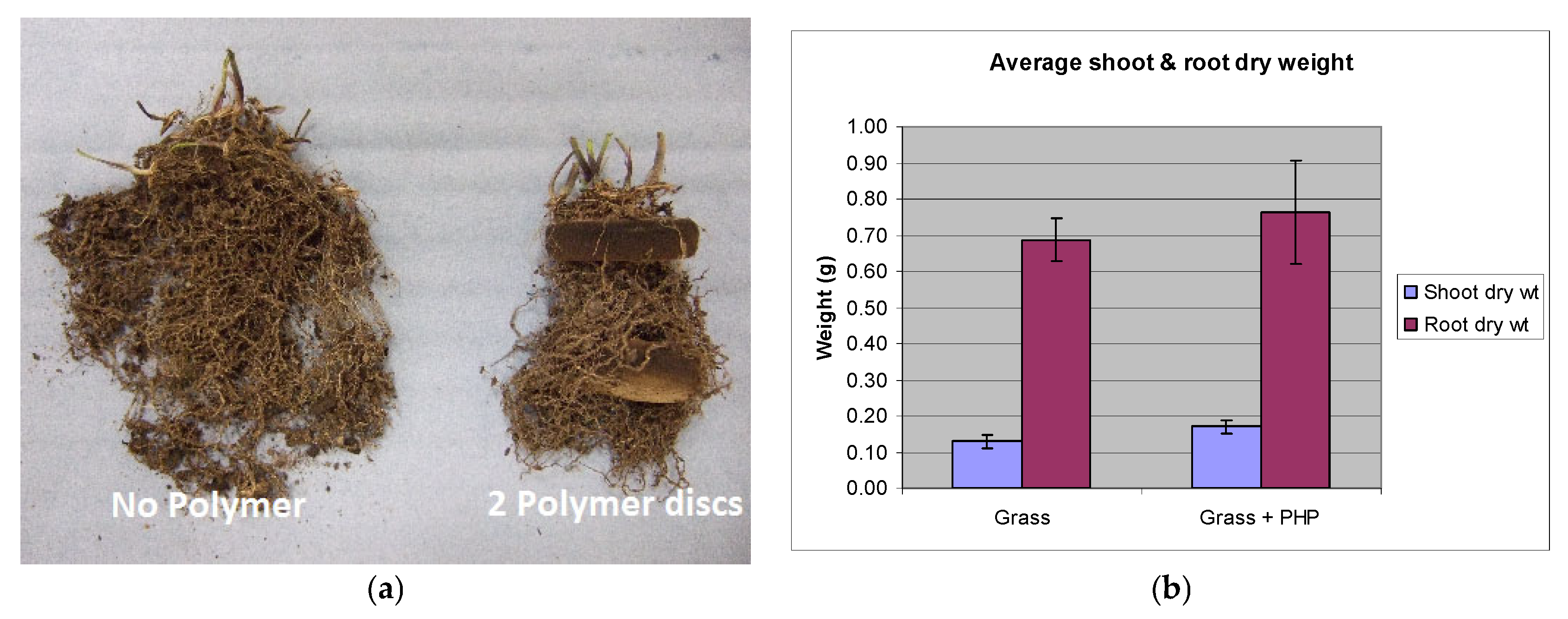 Catalysts 15 00105 g007