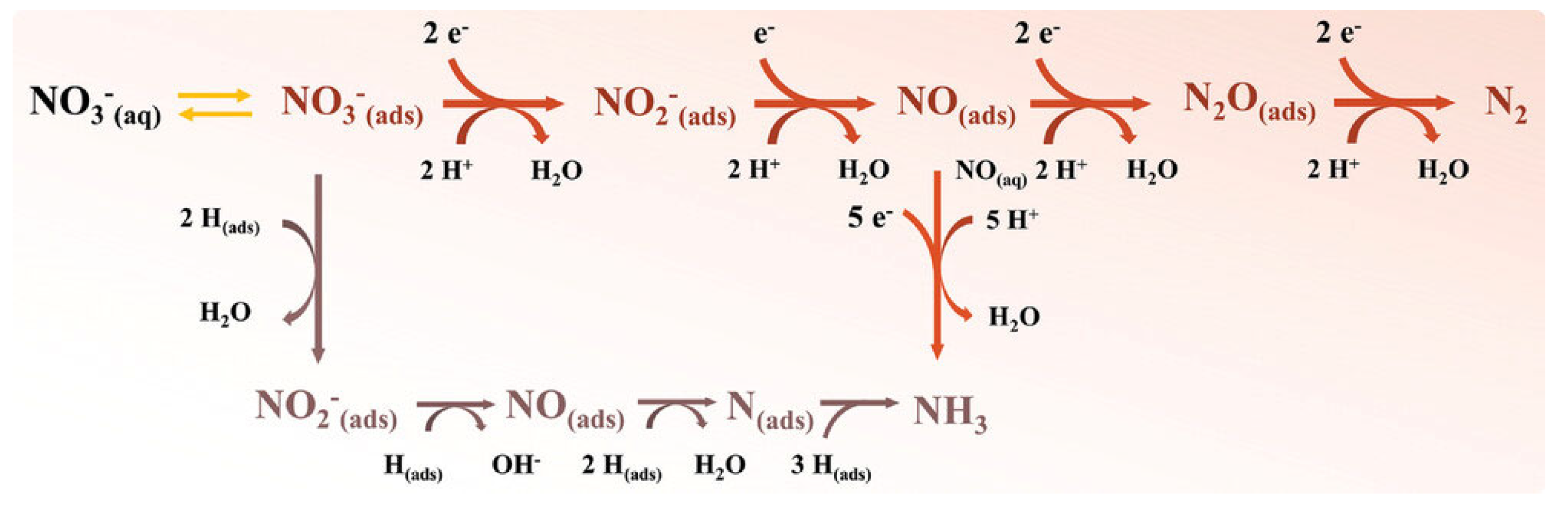 Catalysts 15 00105 g012