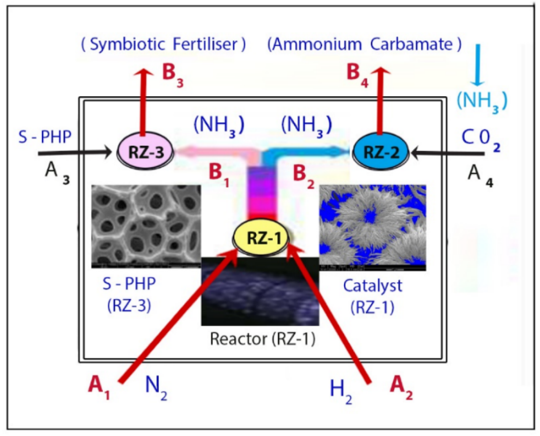 Catalysts 15 00105 g019