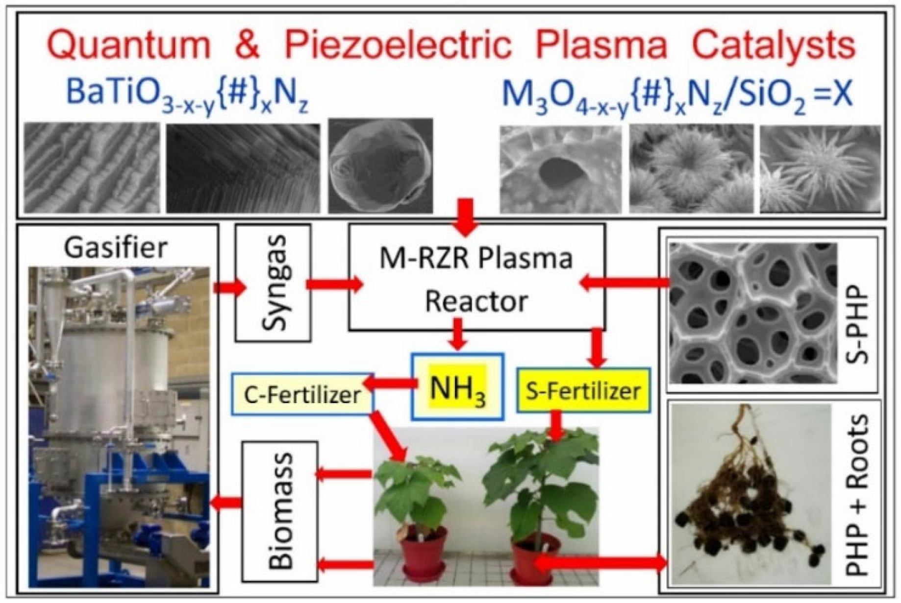 Catalysts 15 00105 g028