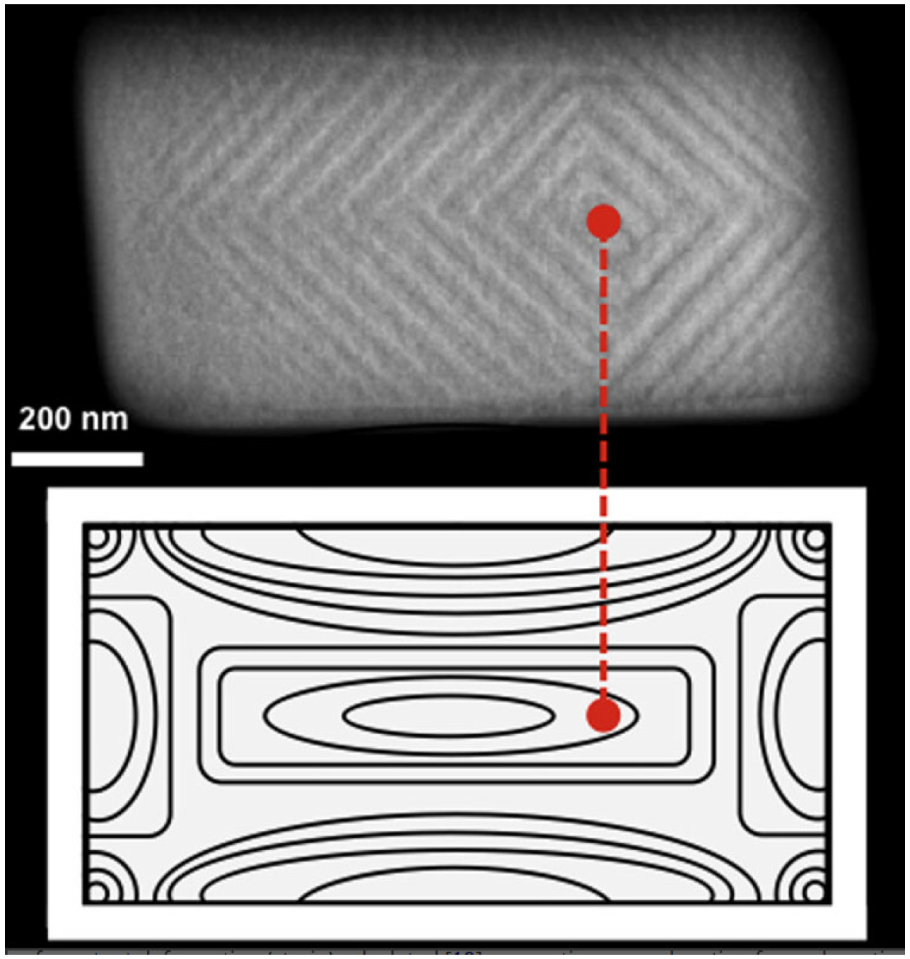 Catalysts 15 00105 g041