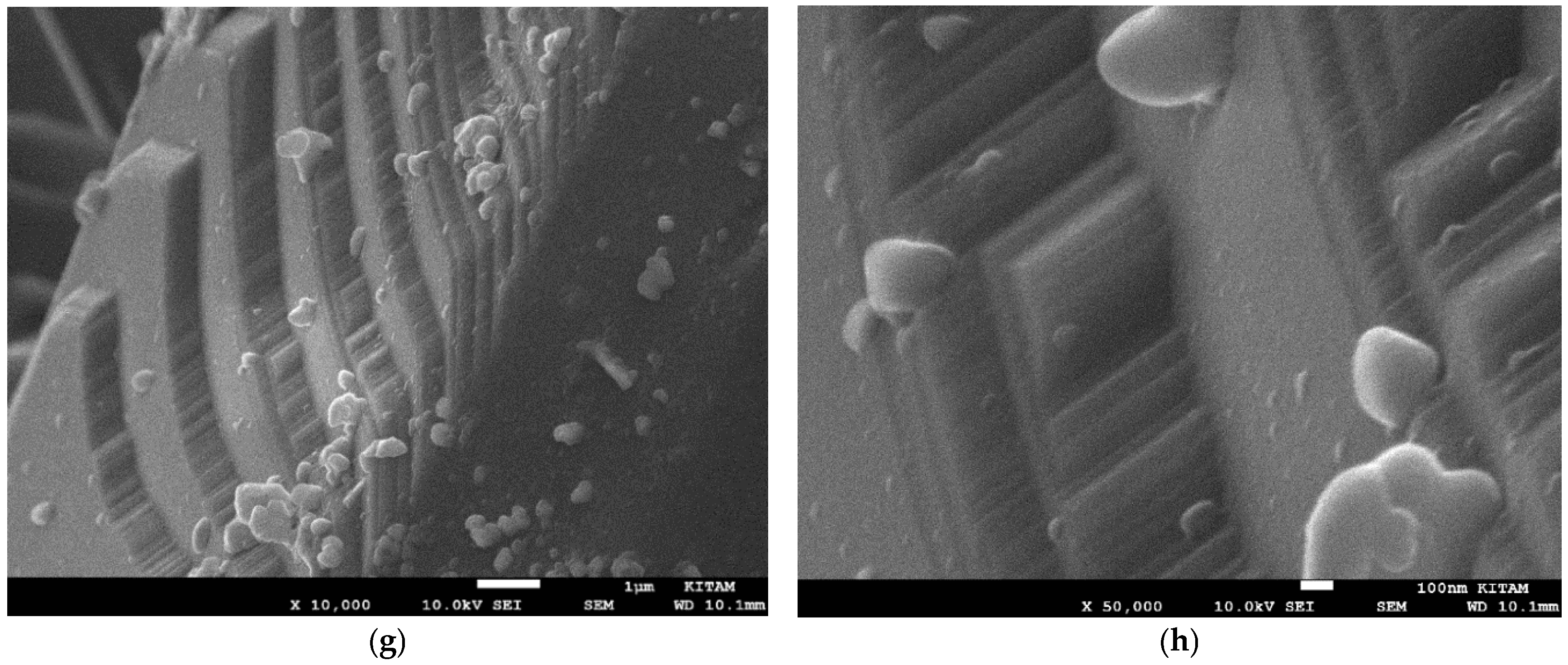 Catalysts 15 00105 g043b