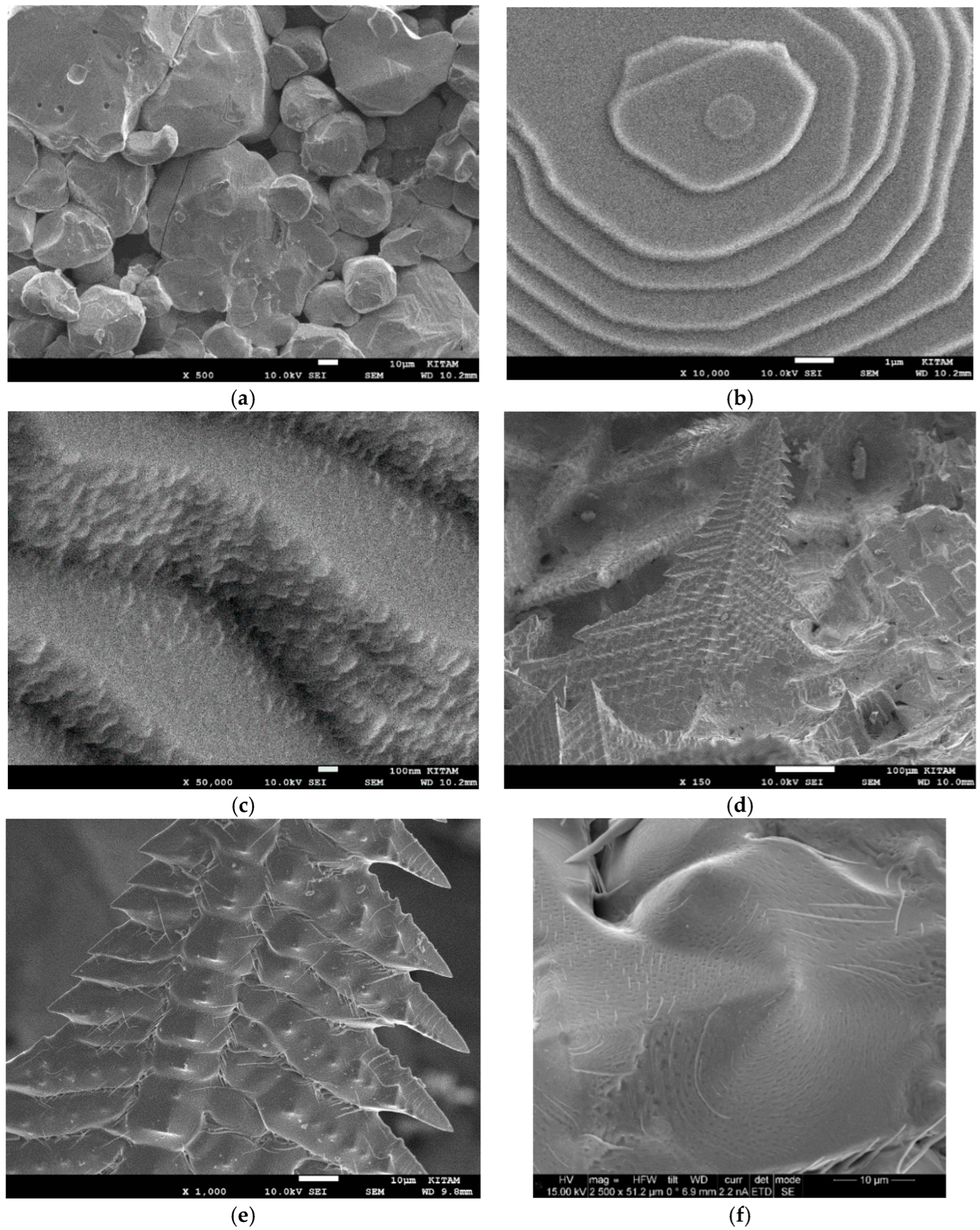 Catalysts 15 00105 g044a