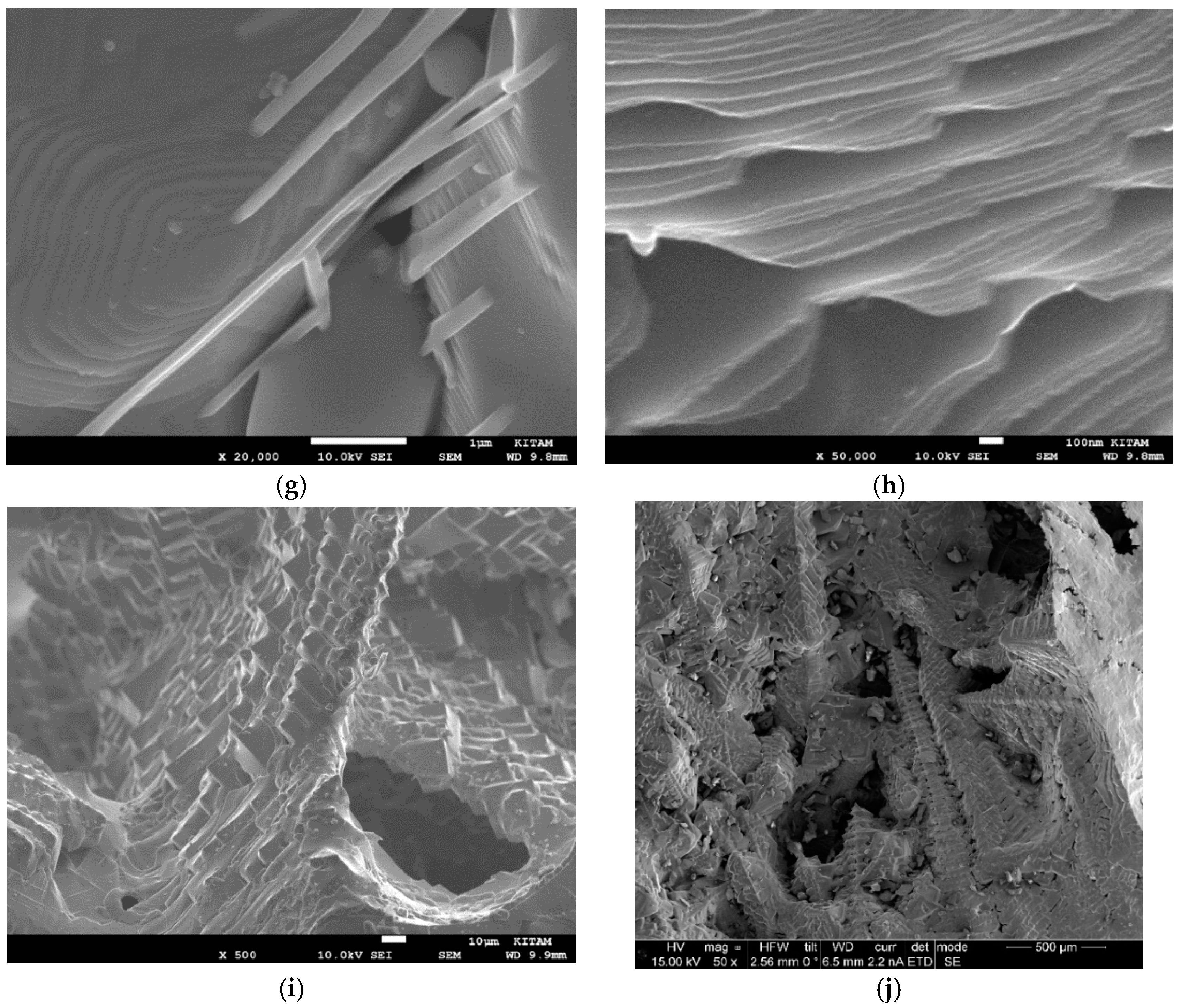 Catalysts 15 00105 g044b