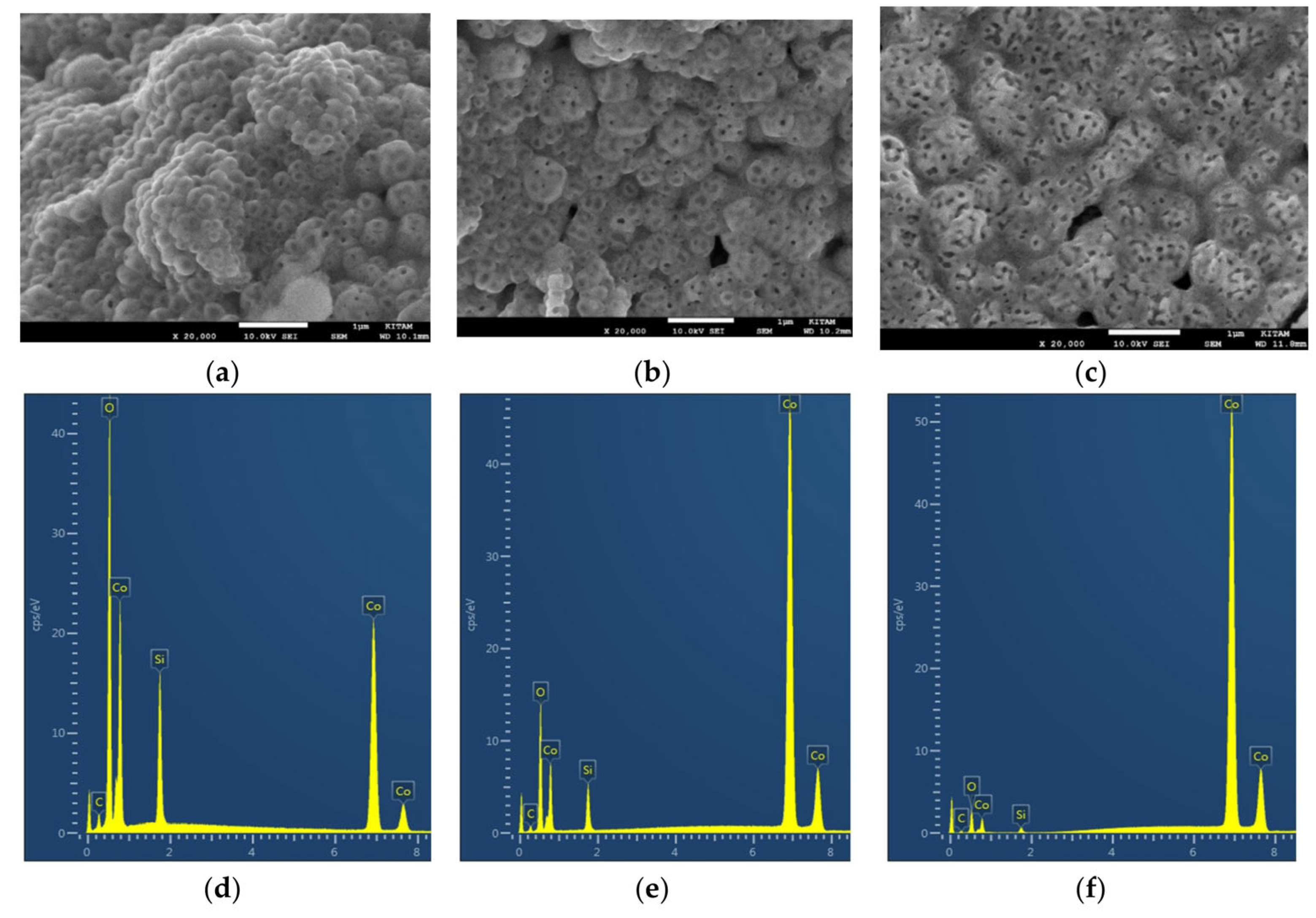 Catalysts 15 00105 g046