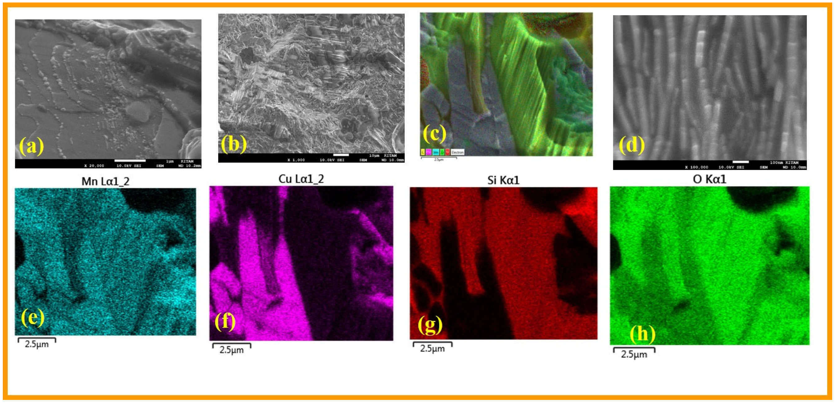 Catalysts 15 00105 g049