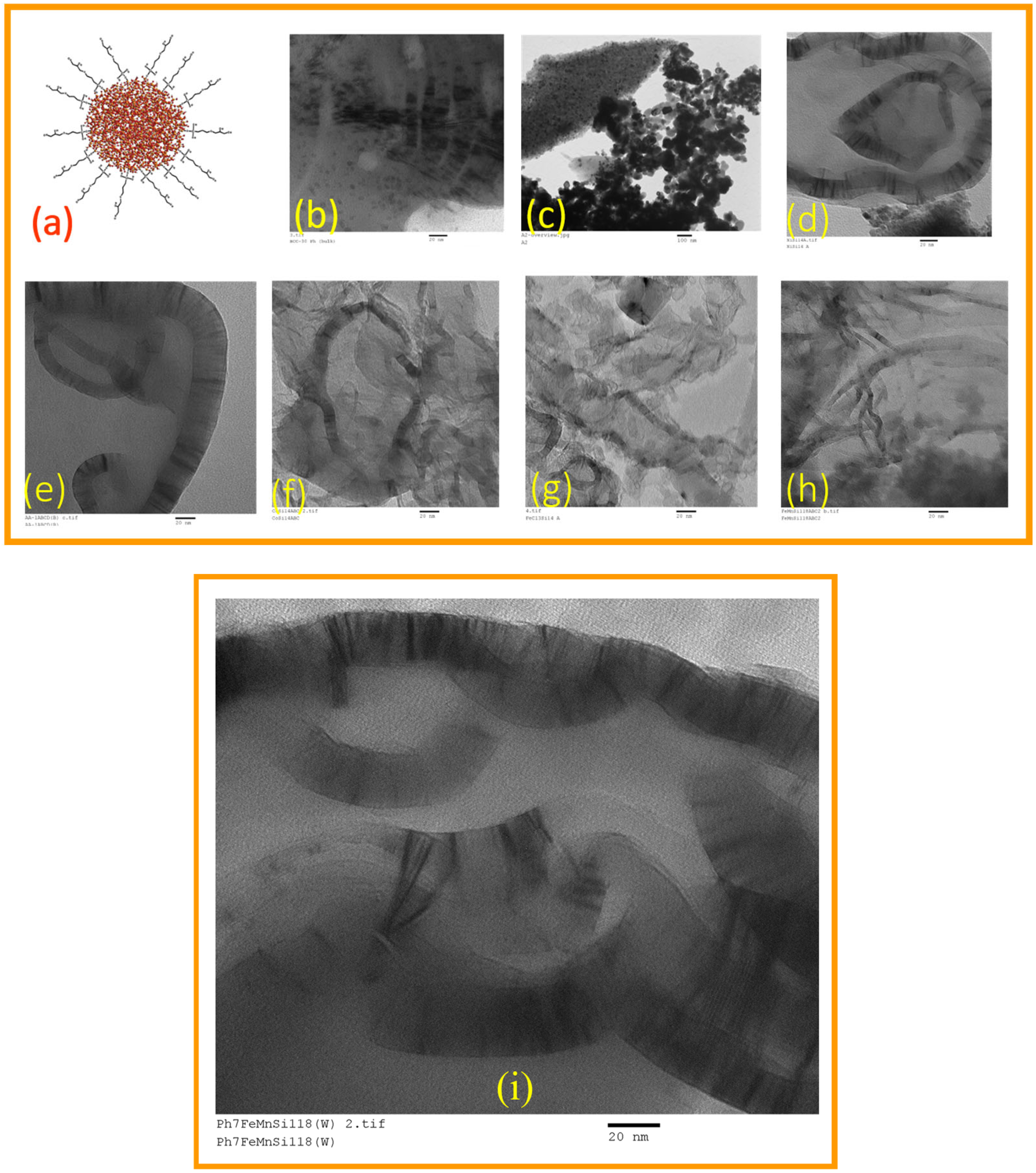 Catalysts 15 00105 g050