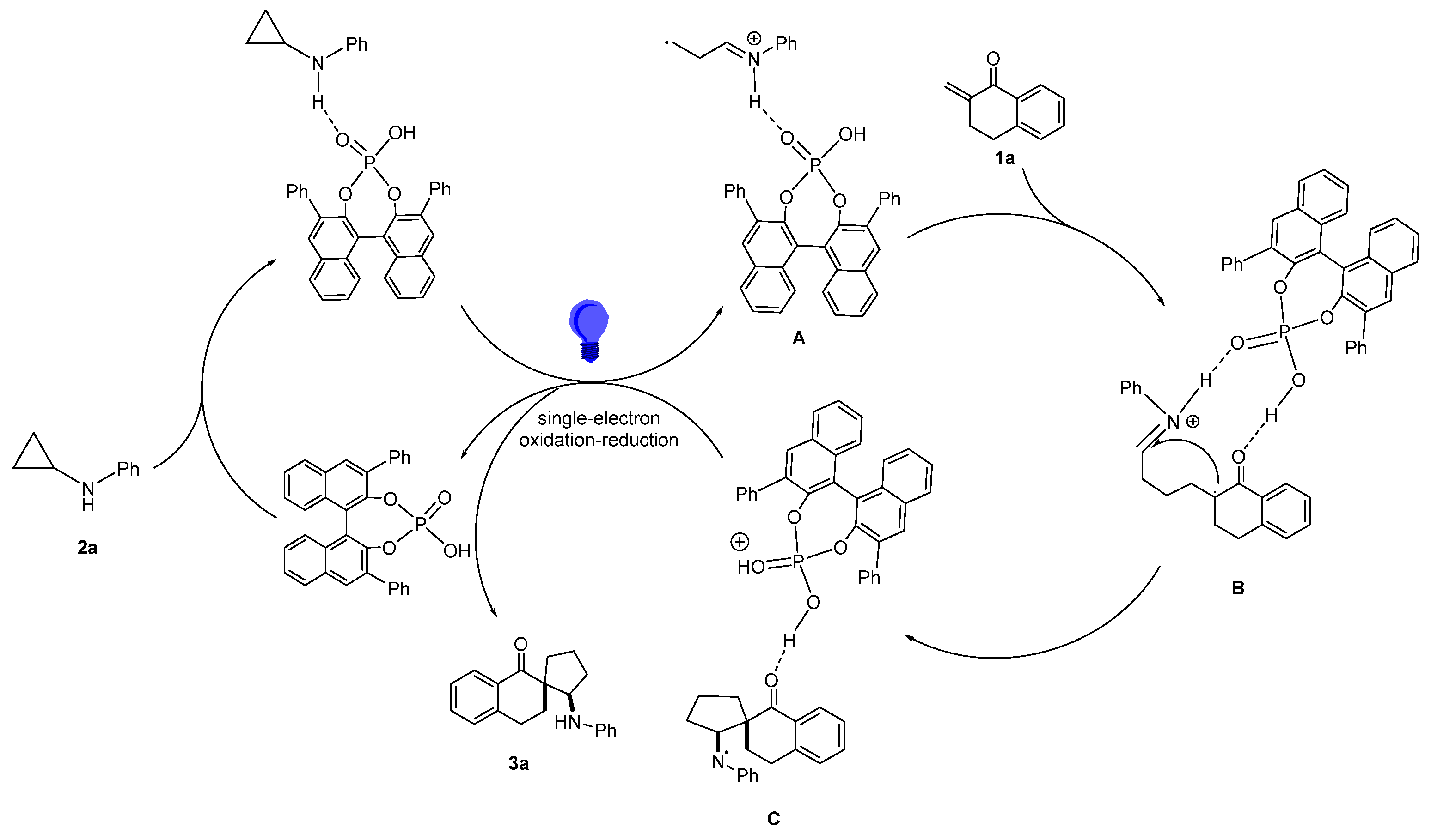 Catalysts 15 00107 sch003