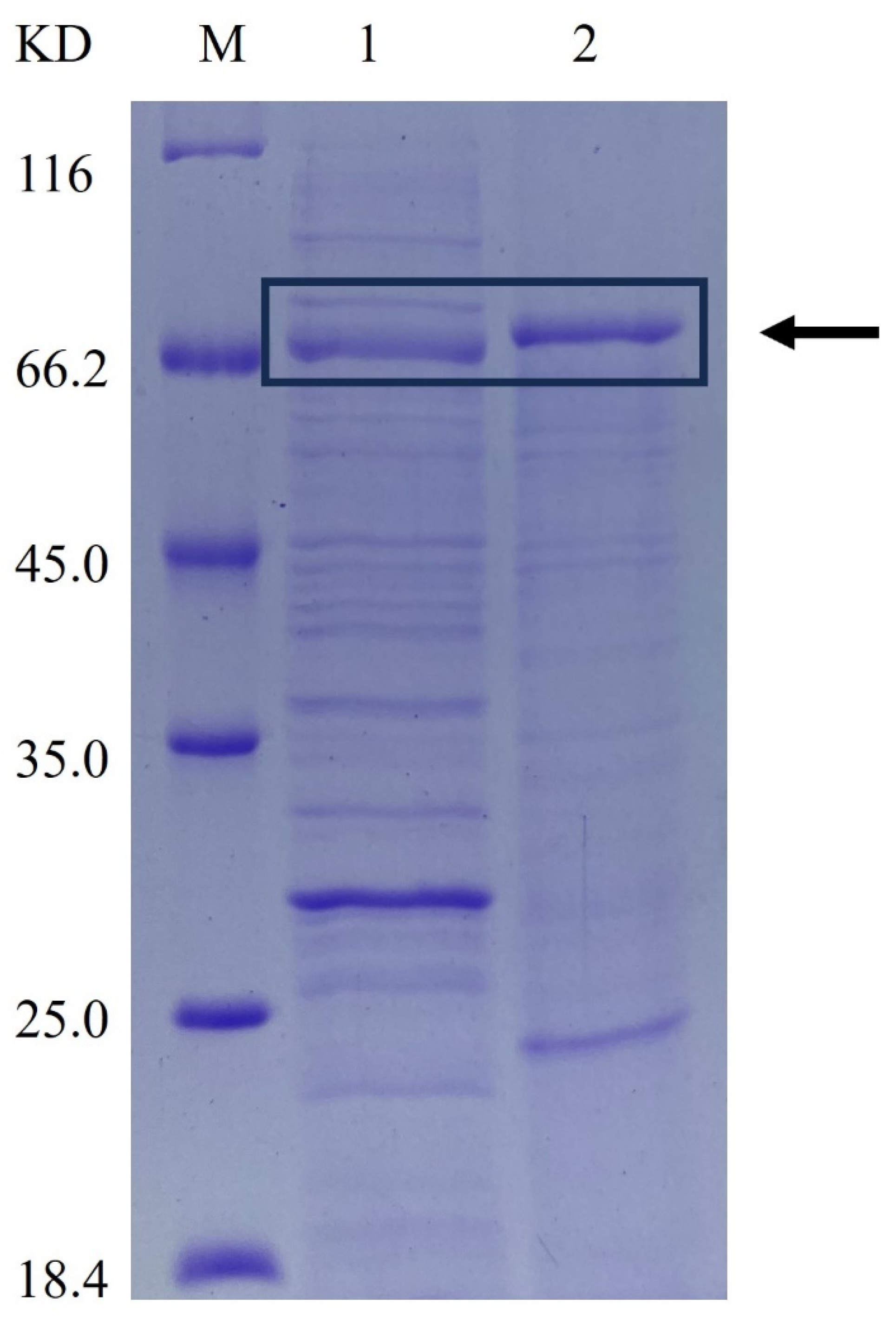 Catalysts 15 00108 g001
