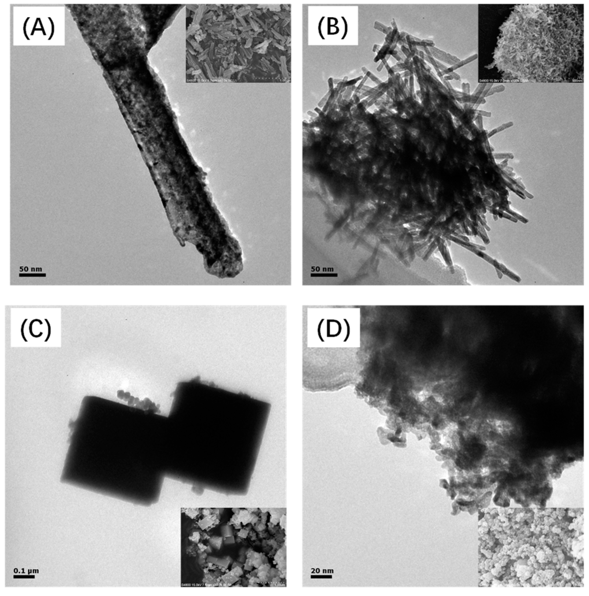 Catalysts 15 00109 g007