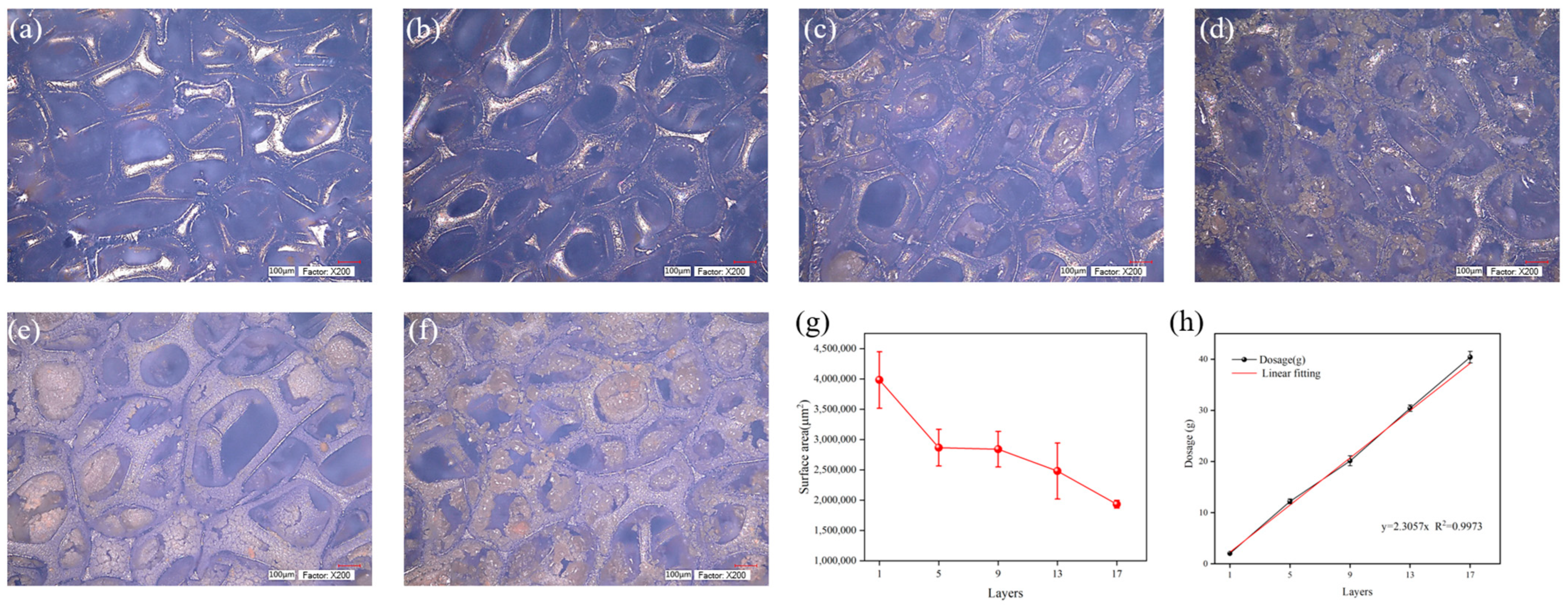 Catalysts 15 00113 g005