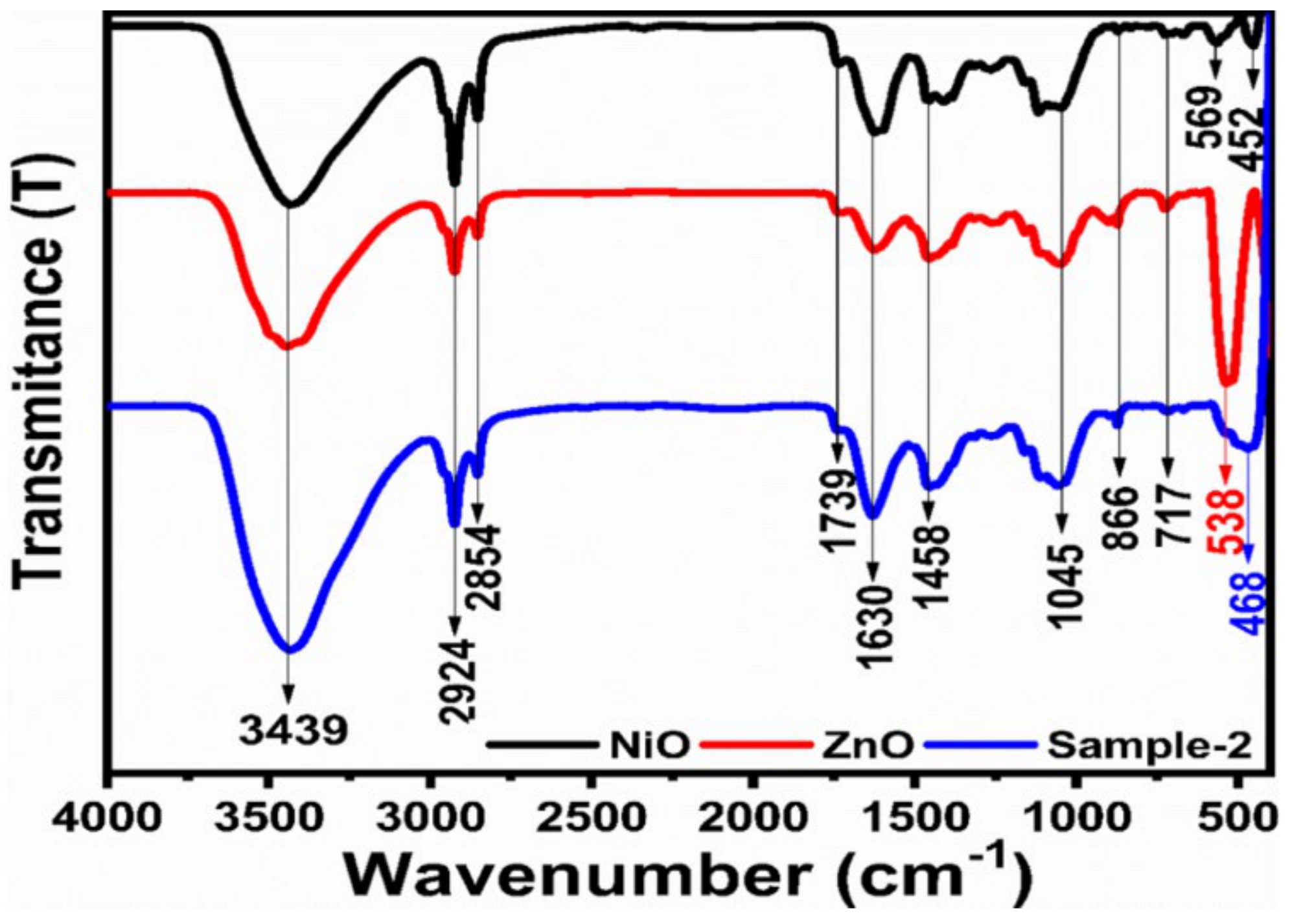 Catalysts 15 00116 g002