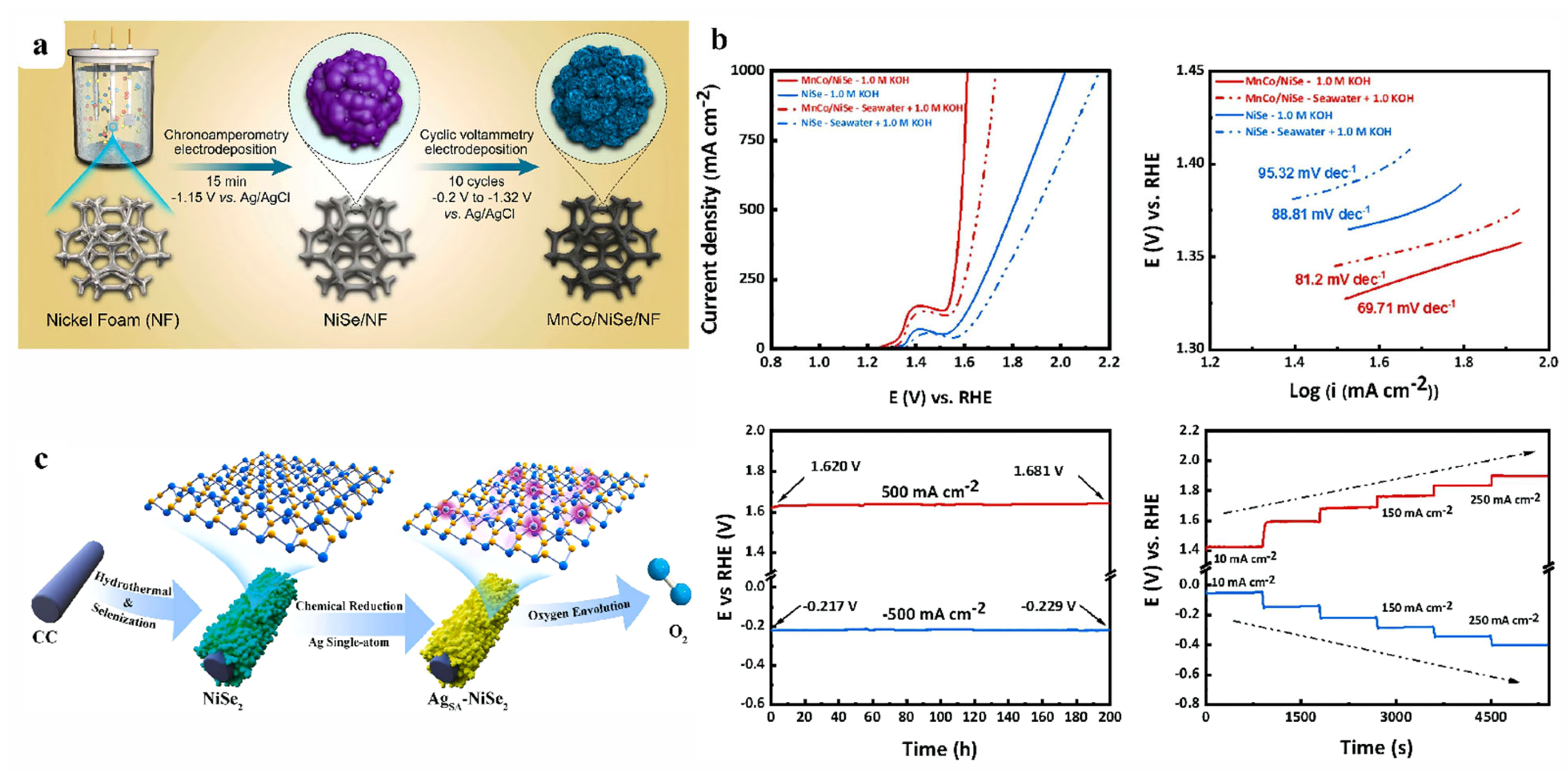 Catalysts 15 00124 g005
