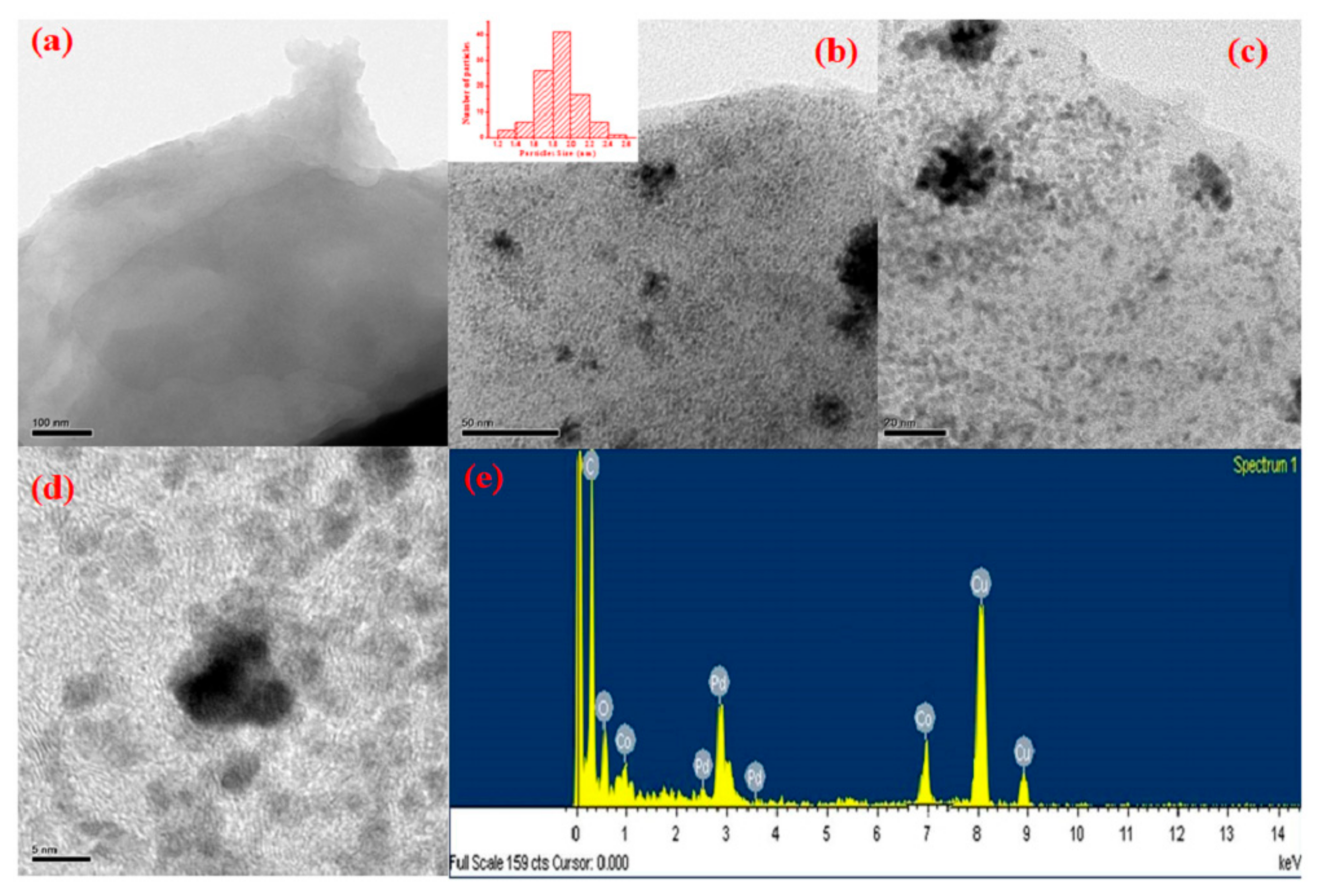 Catalysts 15 00128 g002