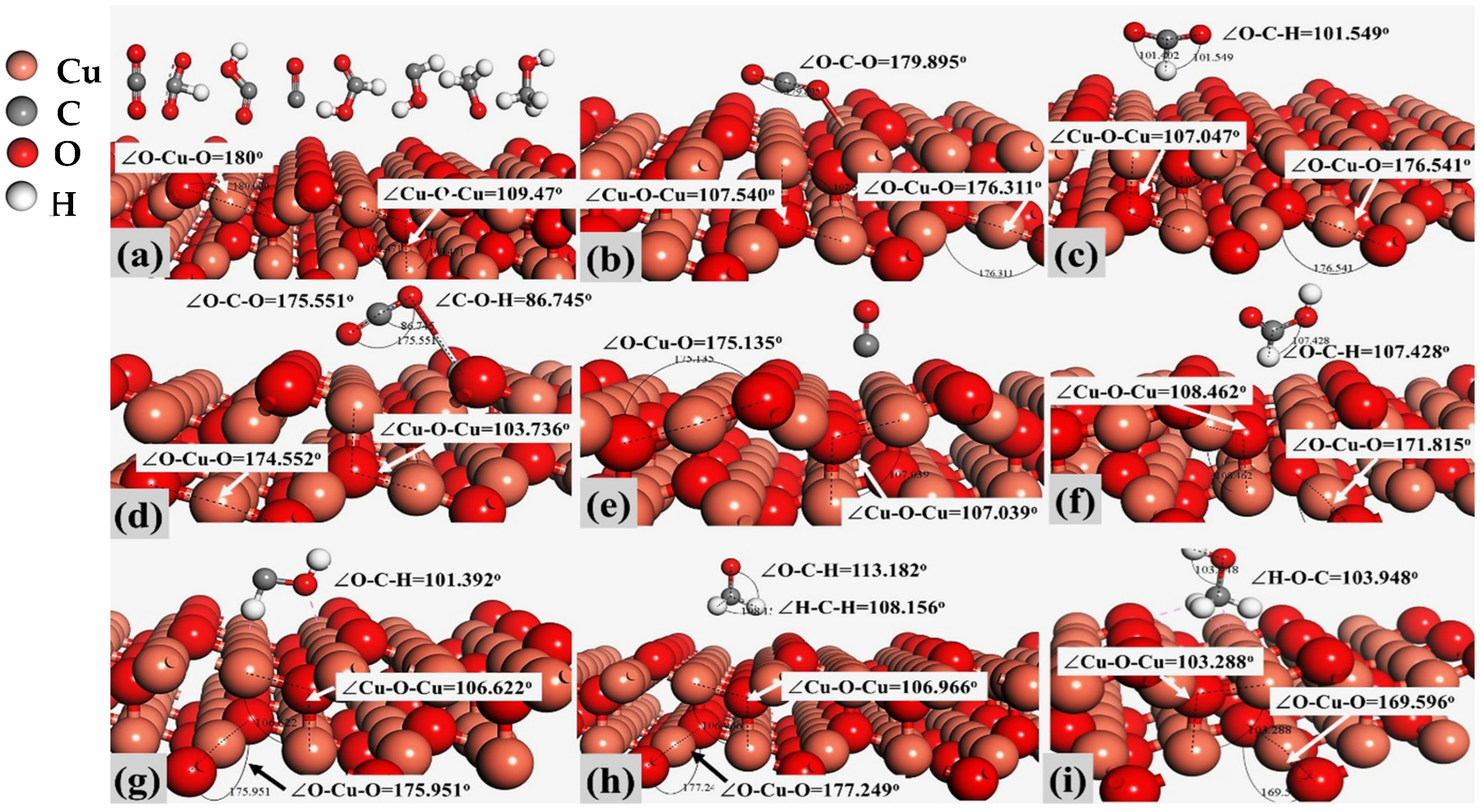 Catalysts 15 00130 g002