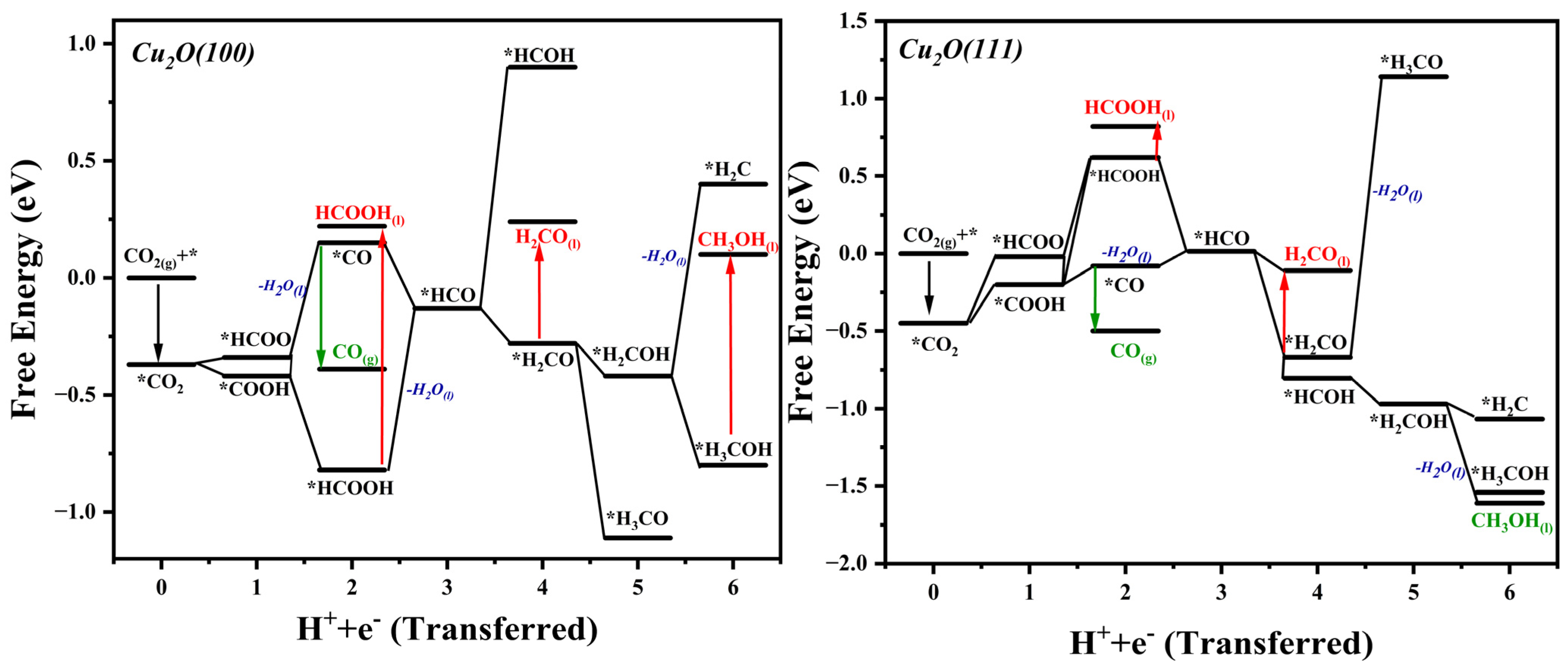 Catalysts 15 00130 g004