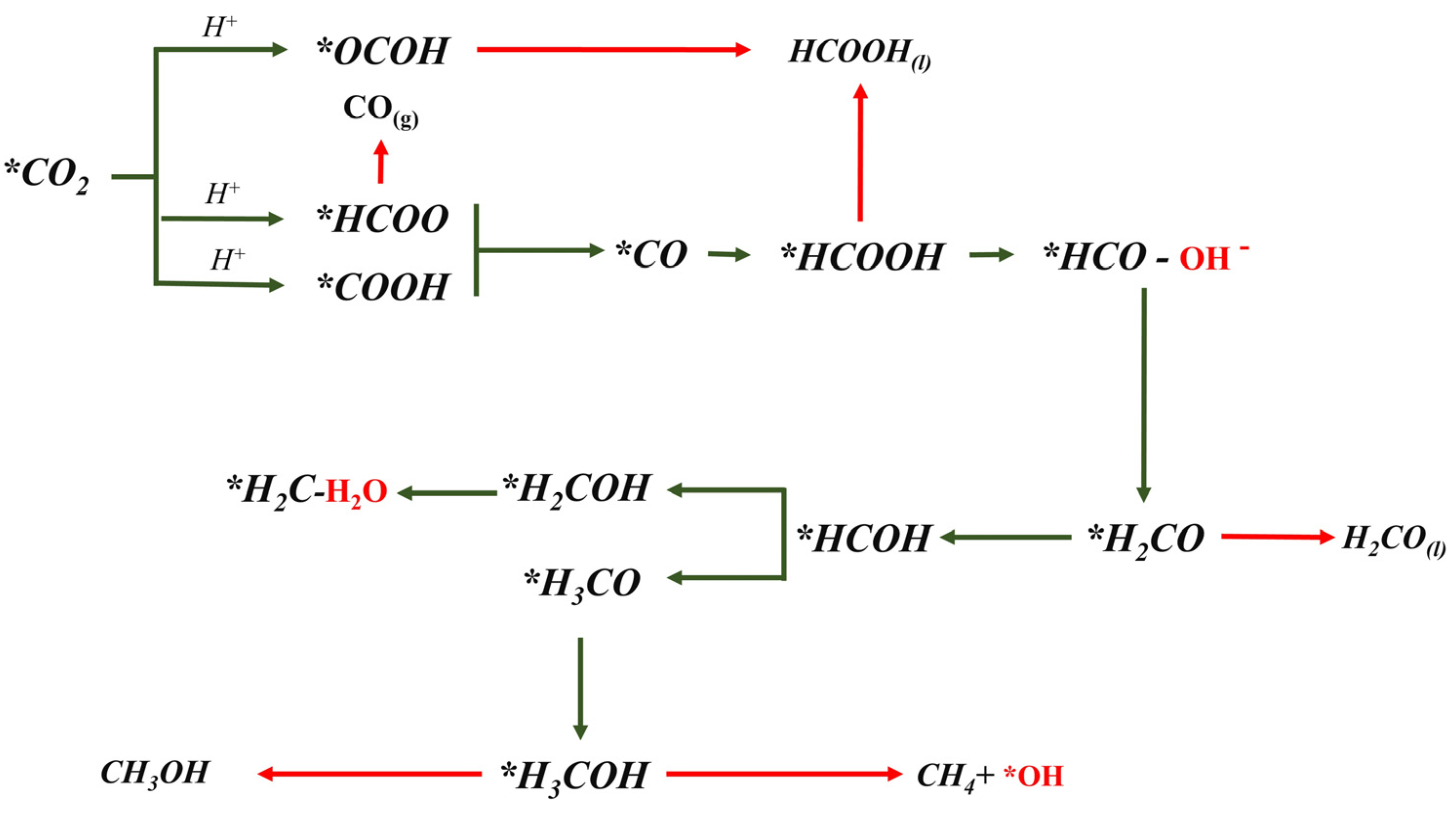 Catalysts 15 00130 g006