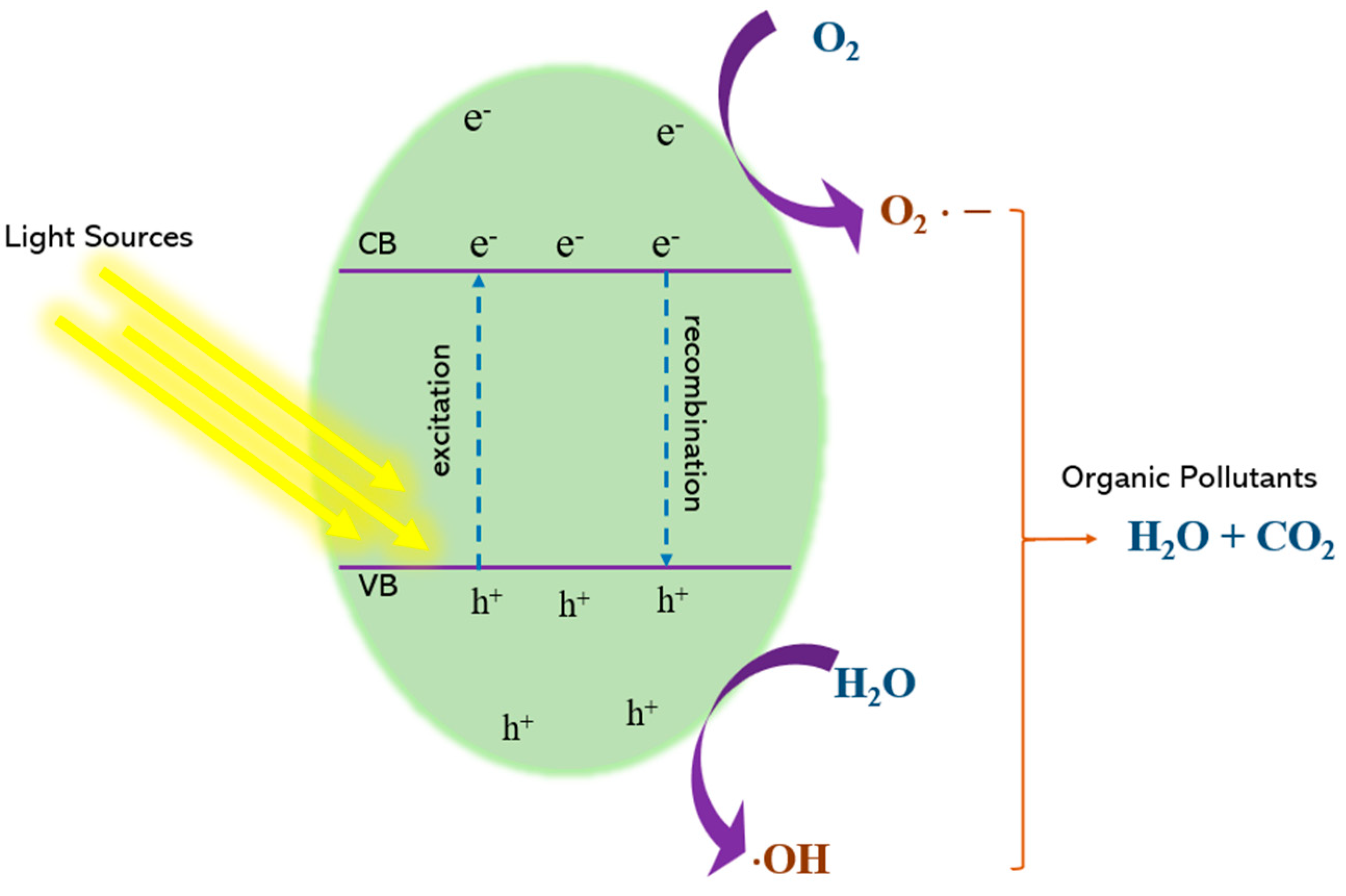 Catalysts 15 00134 g005