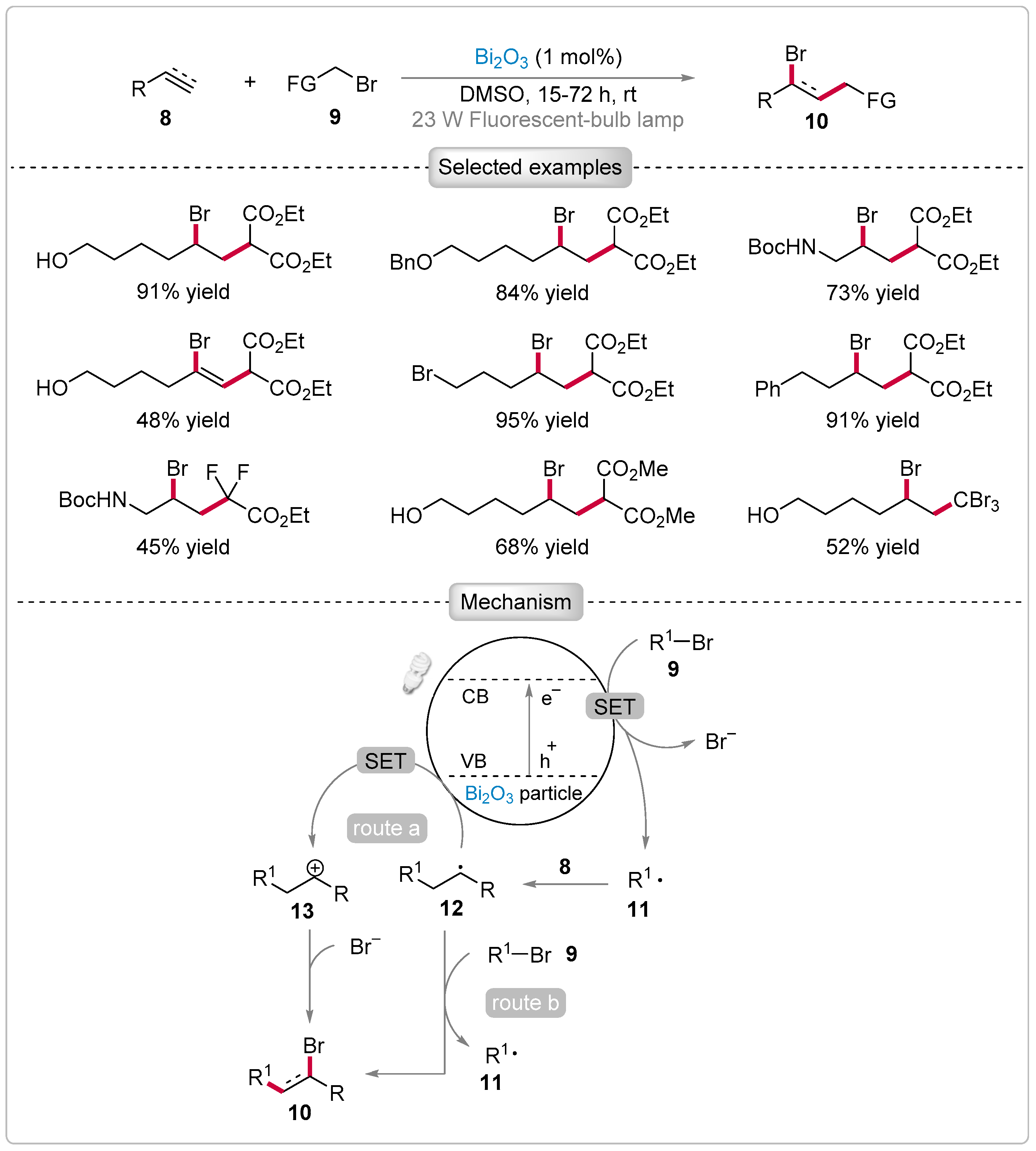 Catalysts 15 00135 sch002