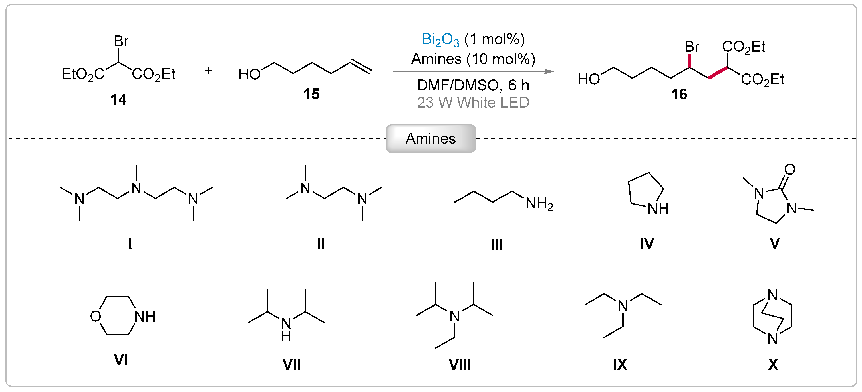 Catalysts 15 00135 sch004